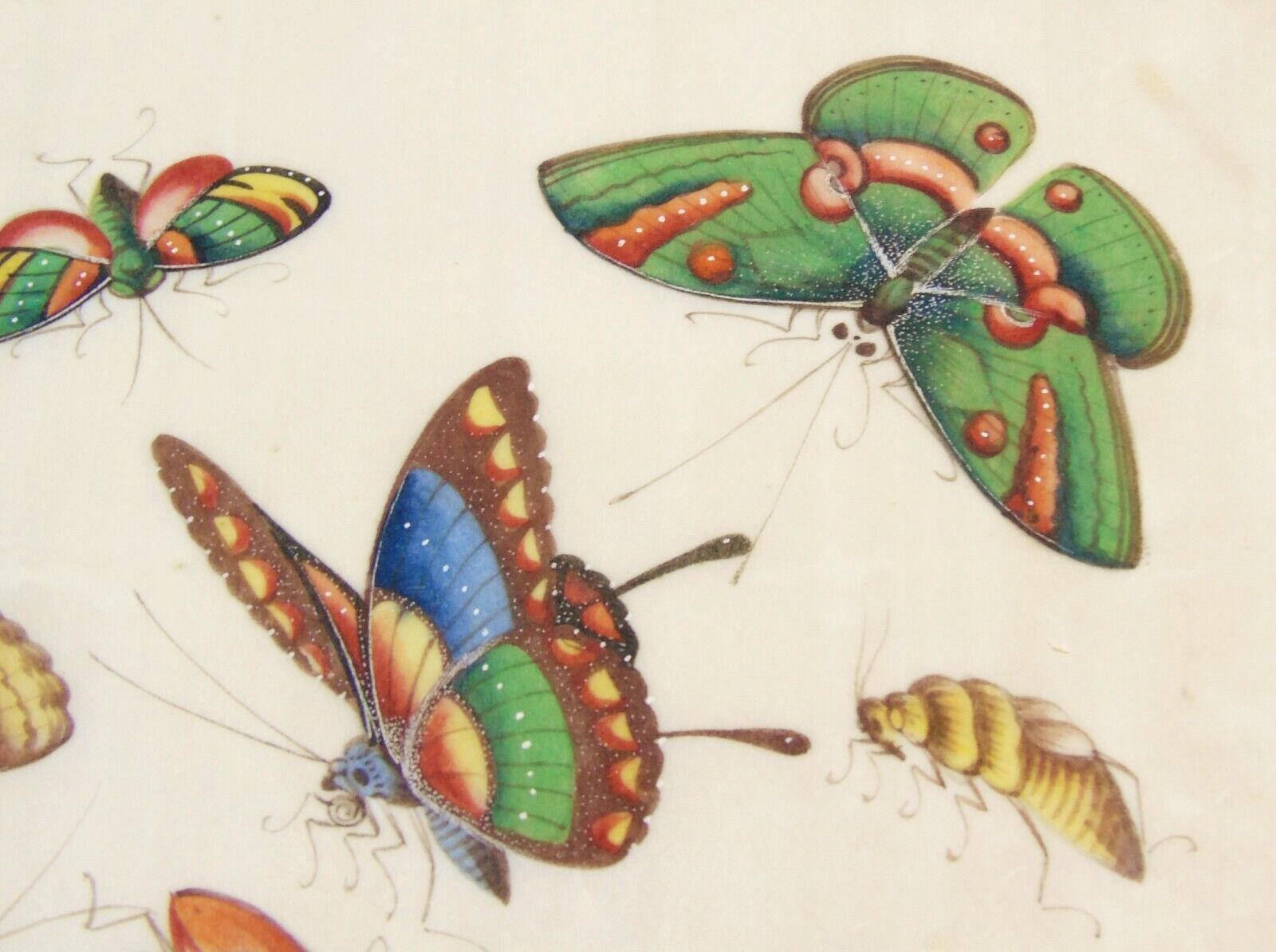Good 19th Century Chinese Pith Painting Butterflies & Insects photo vintage
