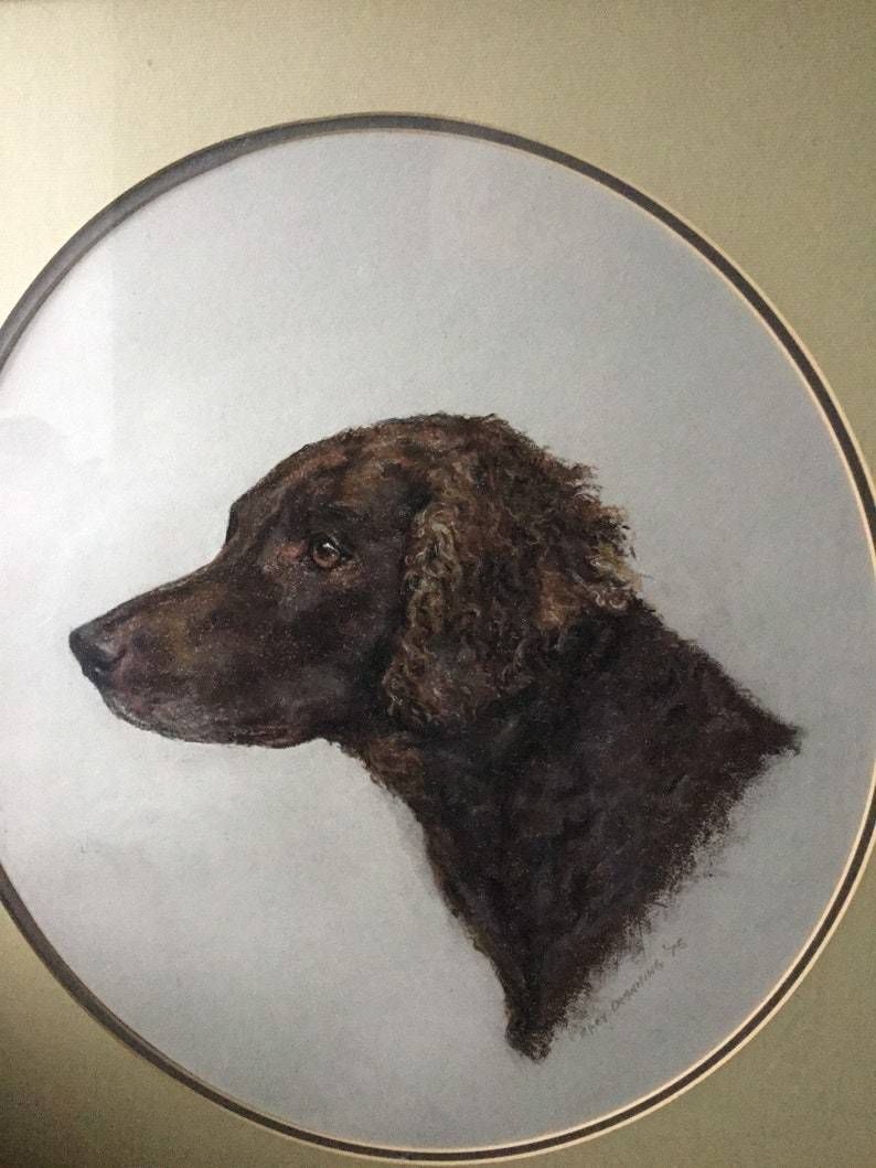 Portrait Of A Dog  Retriever Or Spaniel In Pastels In Original Frame 1970s photo buy