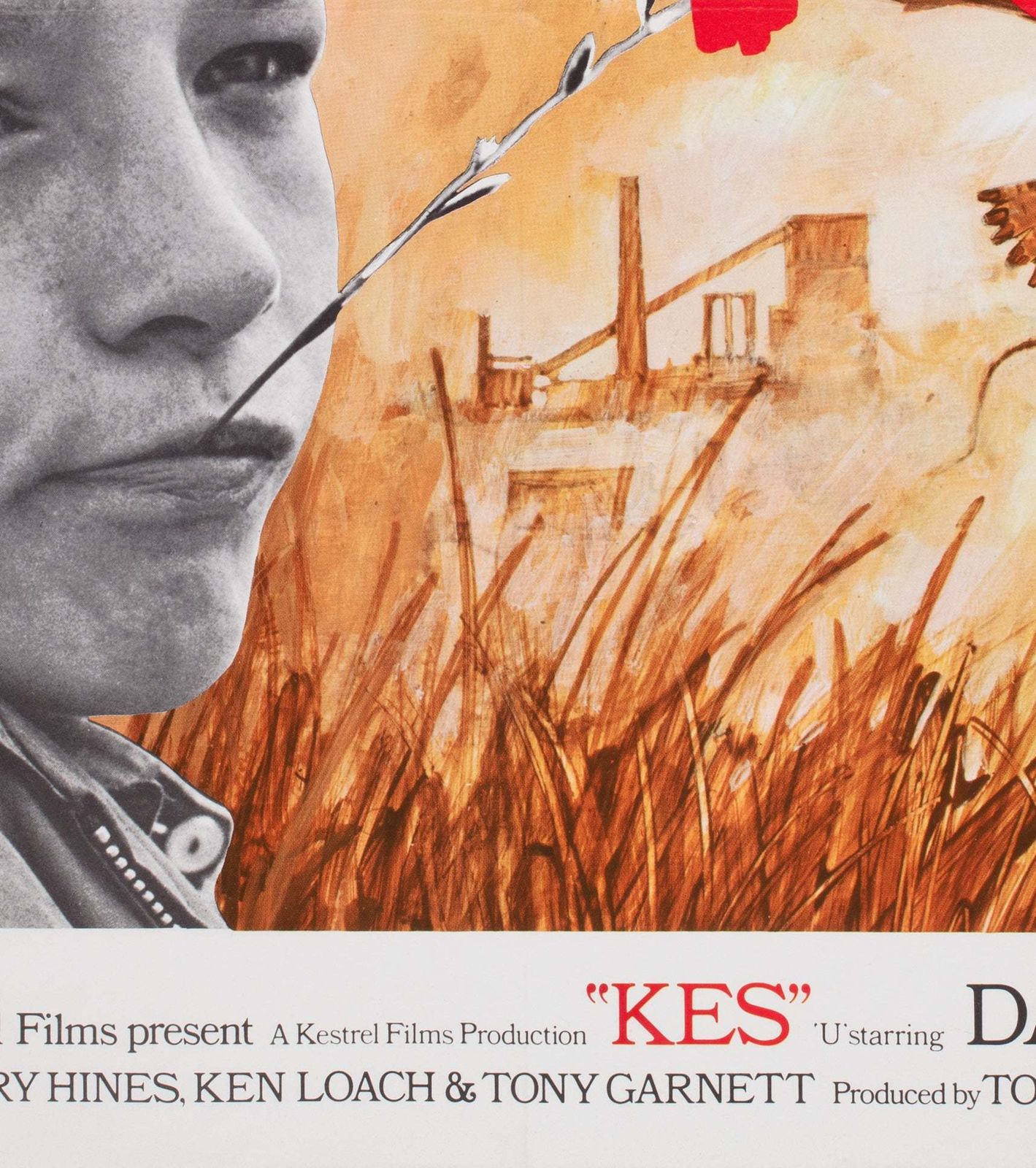 Kes 1969 Uk Quad Film Poster, 1960s photo buy