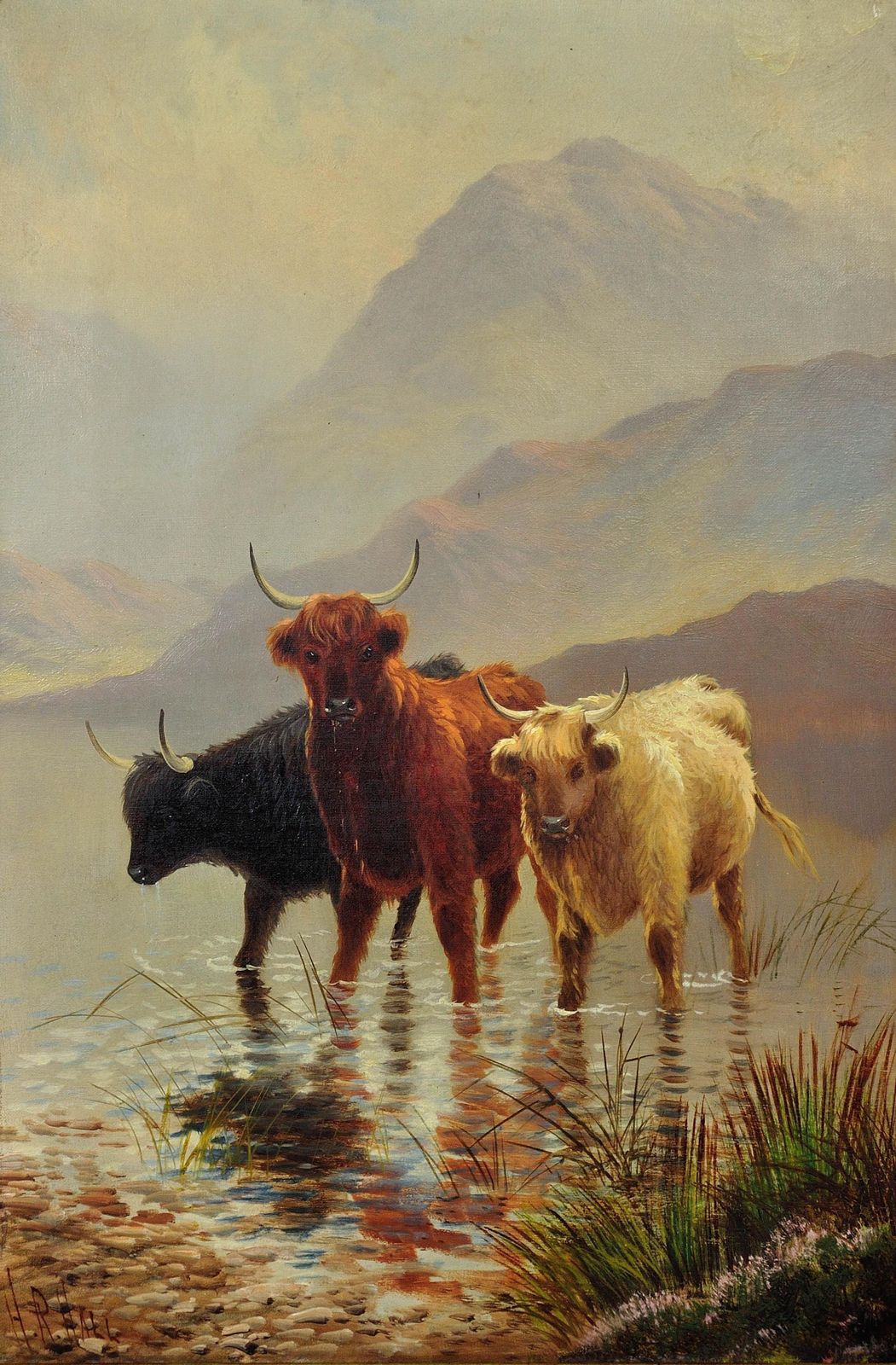 Henry Robinson Hall 1857 To 1927. Highland Cattle In A Scottish Loch. Circa 1890. Framed High Victorian Scotland Oil Painting. photo furniture