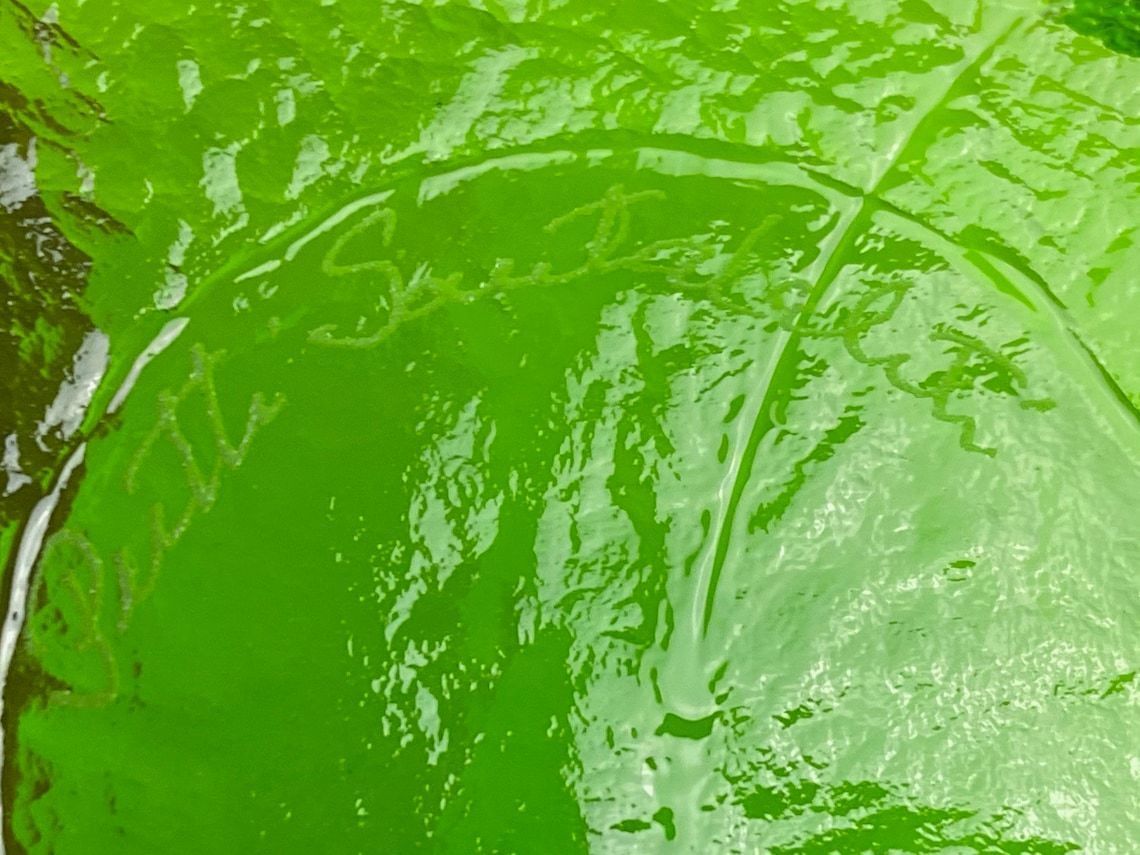 photo for sale Signed Glass Bowl By Pertti Santalahti For Humppila Finland 1970s Green And Clear Glass With Ice Effect