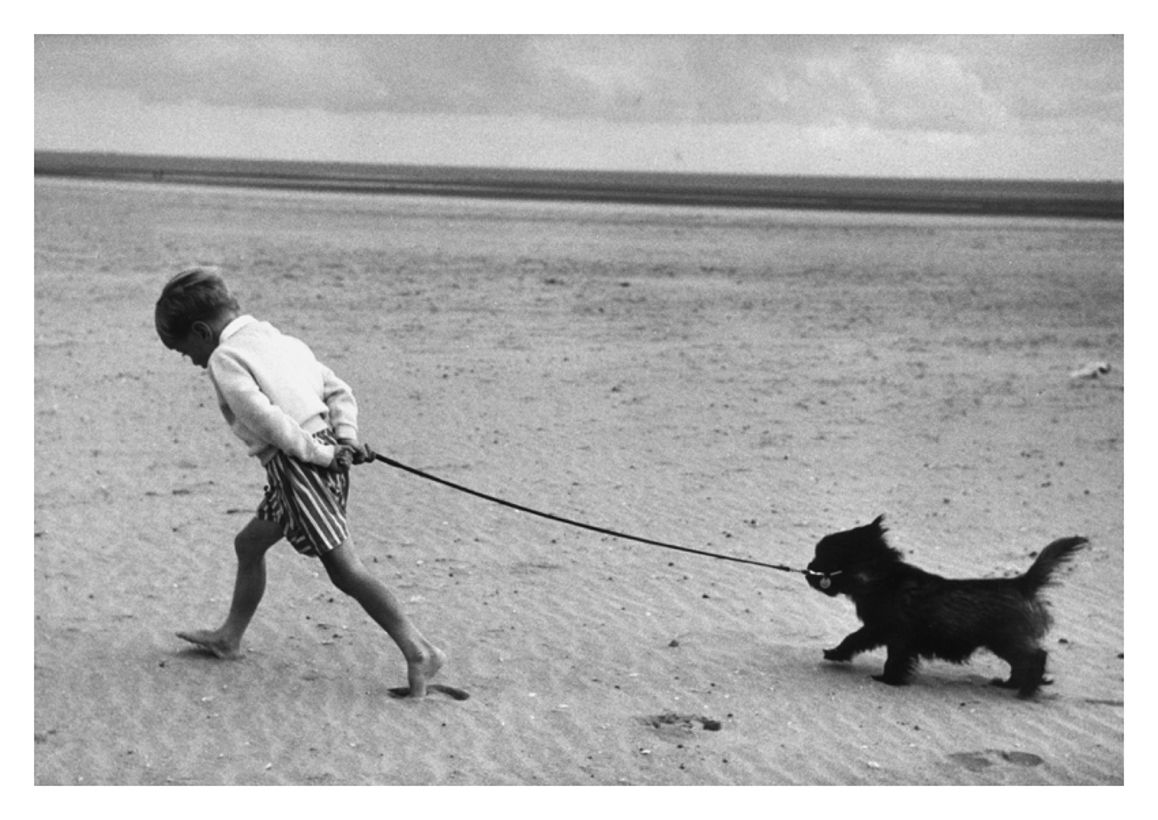 Walking The Dog 30x40" Silver Gelatin Fibre Print