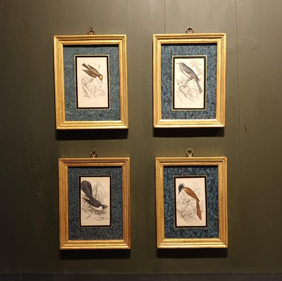 A Set Of 19th Century Framed Bird Engravings By William Swainson