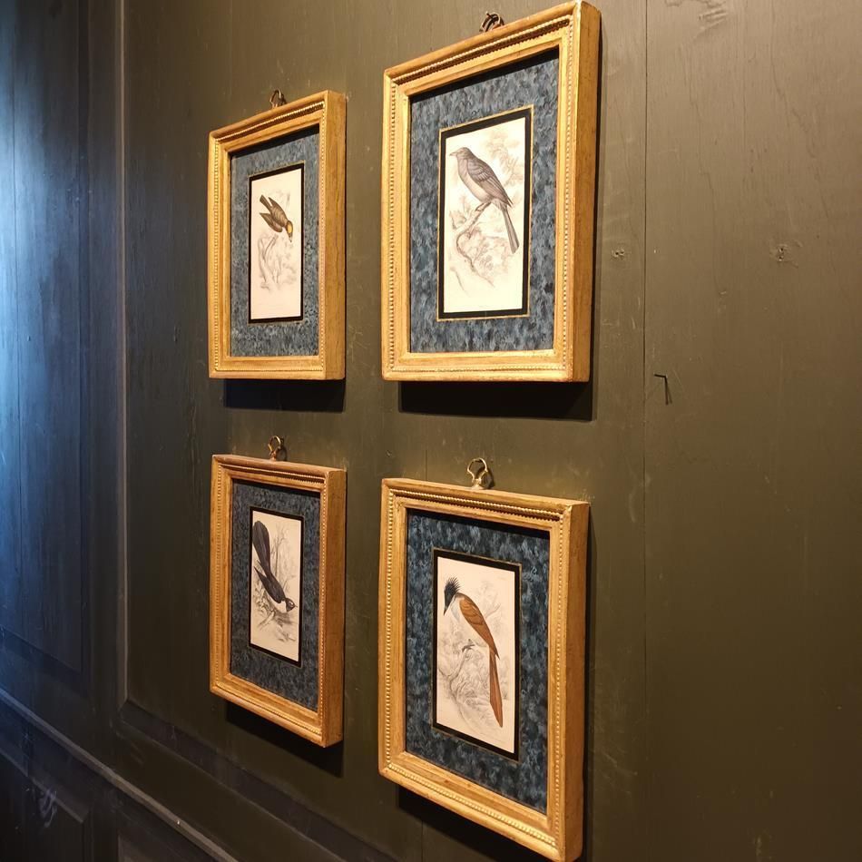 Art A Set Of 19th Century Framed Bird Engravings By William Swainson photo