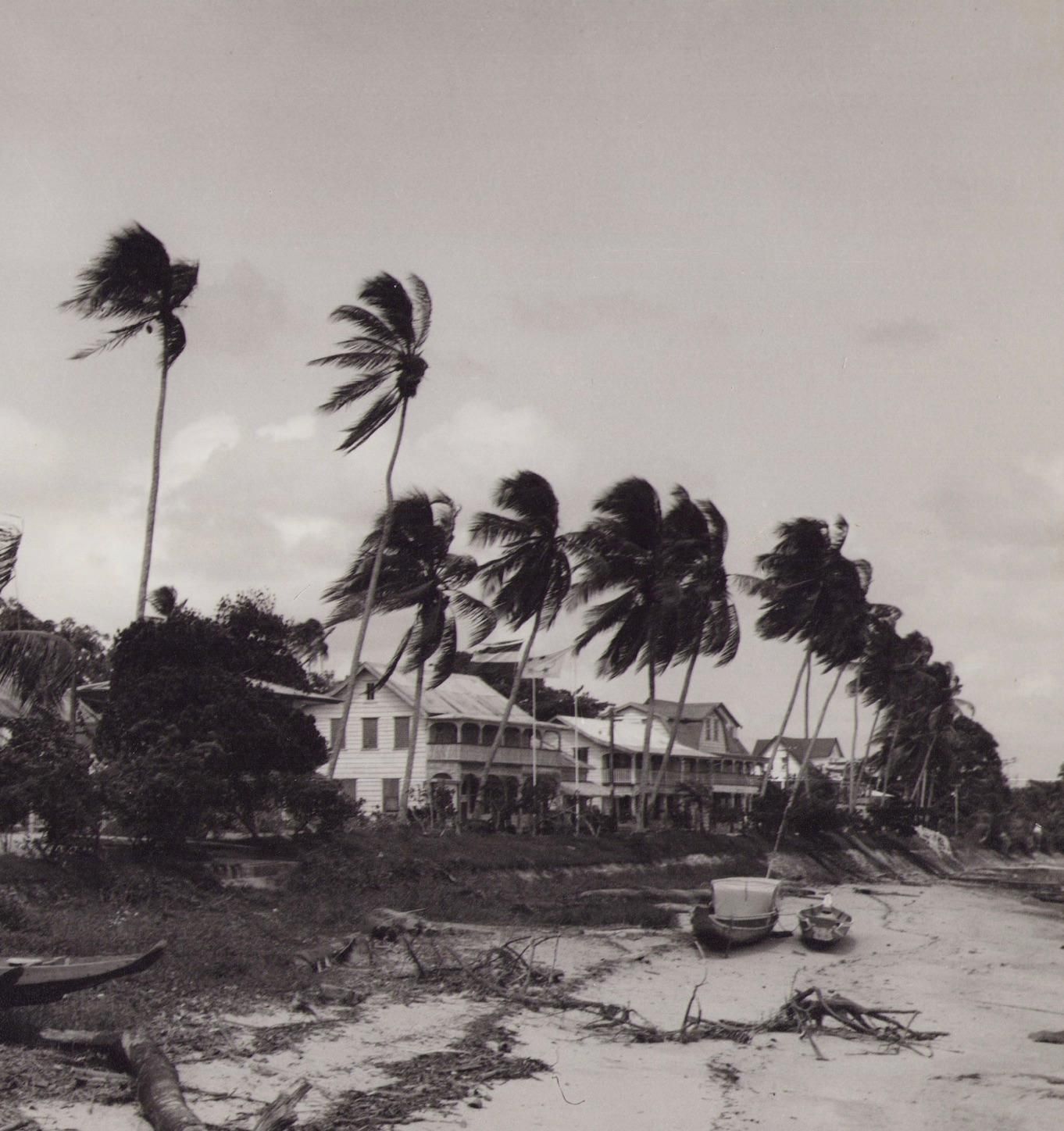 Hanna Seidel Suriname, River, Palm Trees, Black And White Photograph, 1960s, 23.5 X 29.1 Cm Ca. 1960s photo furniture