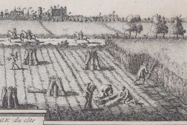Cambridge From The East Engraving By Pieter Van Der Aa After David Loggan photo Art