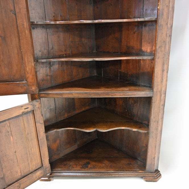 Ct Furniture Collection Antique Georgian Standing Corner Cupboard photo buy