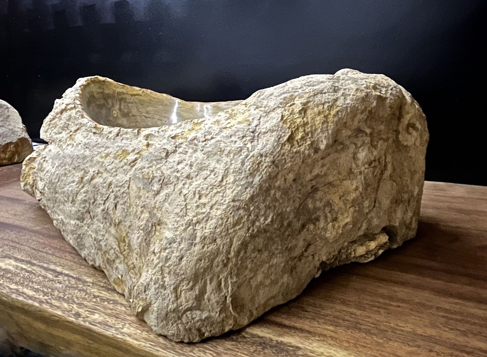Petrified Wood Sink Organic Modern In Grey/ Beige/ Brown Tones, Top Quality photo Home Decor