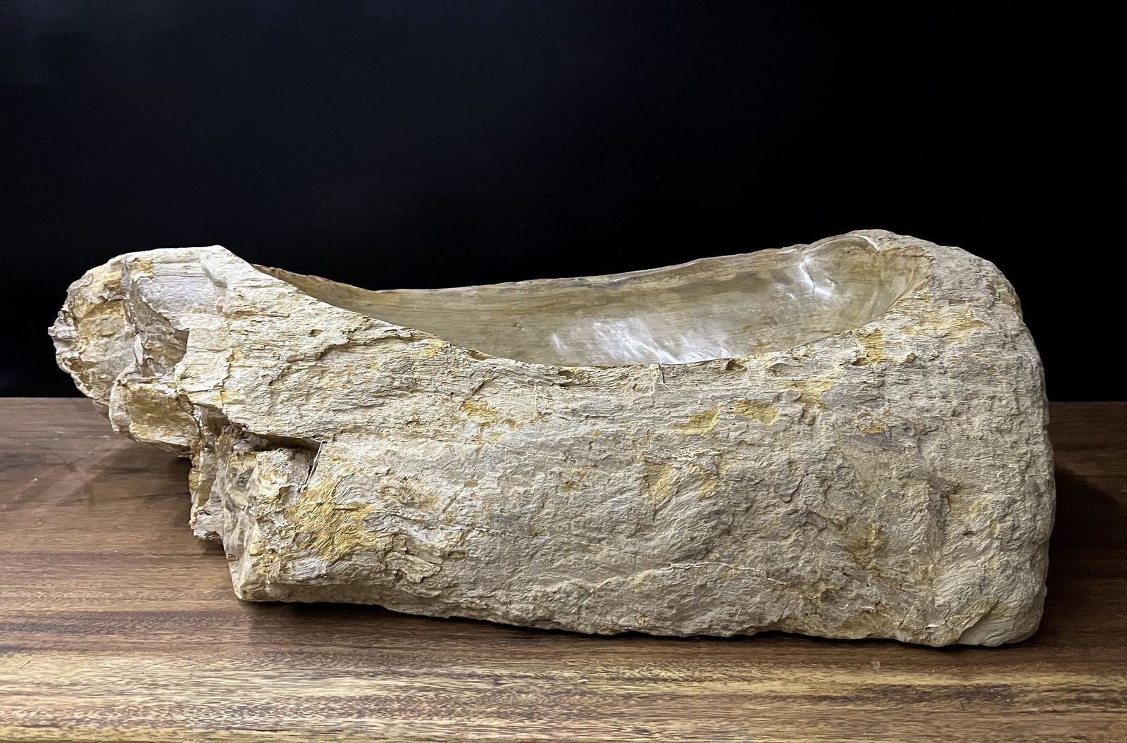 Petrified Wood Sink Organic Modern In Grey/ Beige/ Brown Tones, Top Quality photo 2545.0