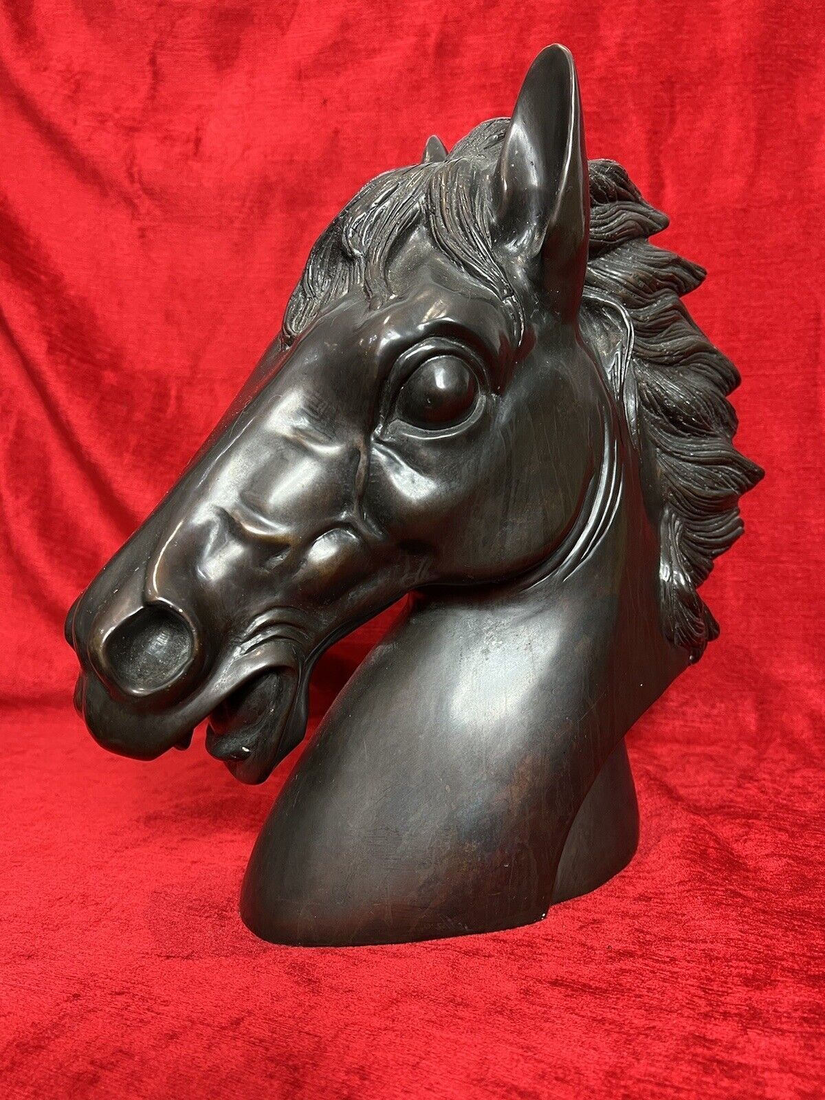 Early 20th Century Large Bronze Horse Head Showpiece