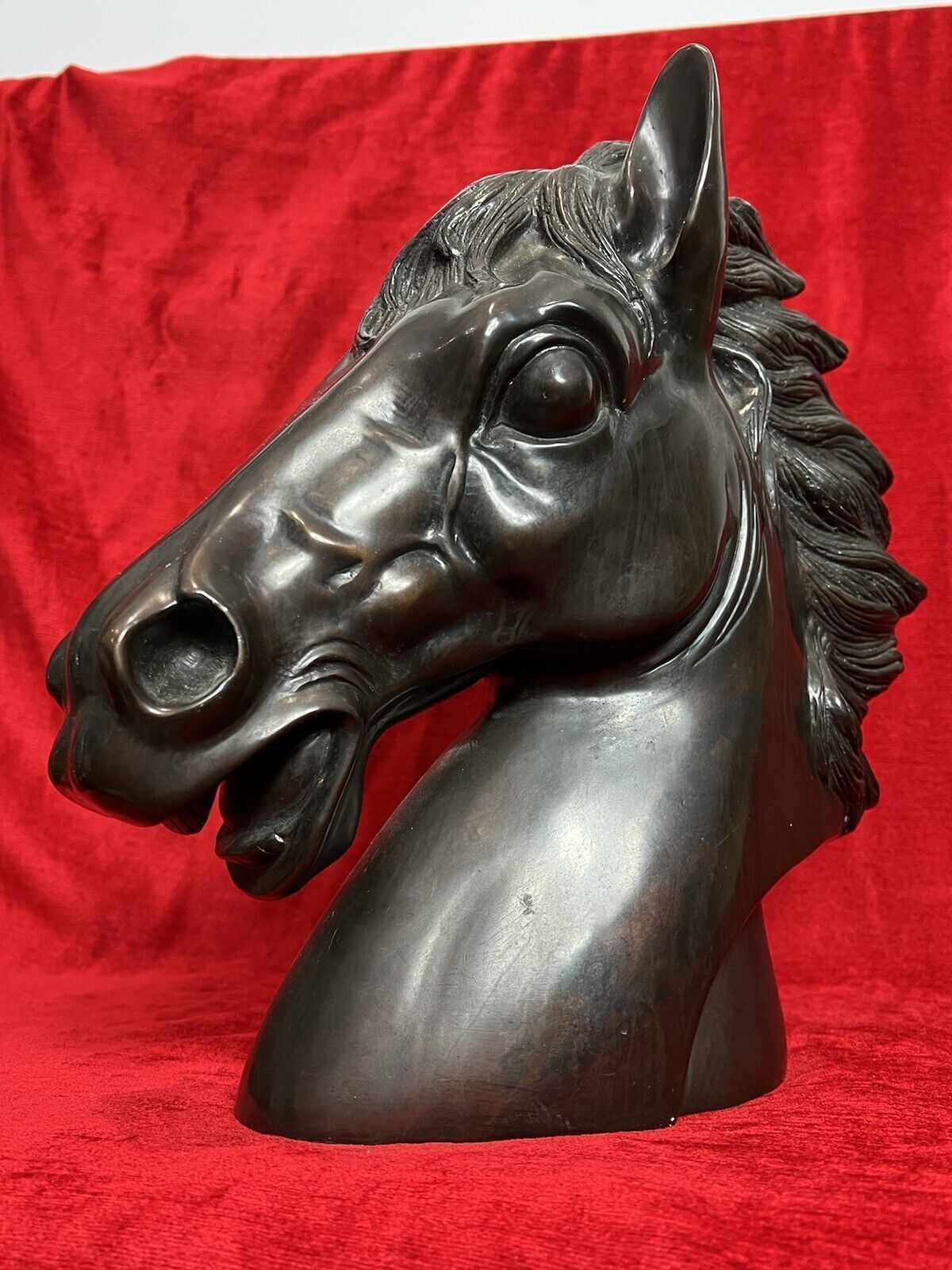 Art Early 20th Century Large Bronze Horse Head Showpiece photo