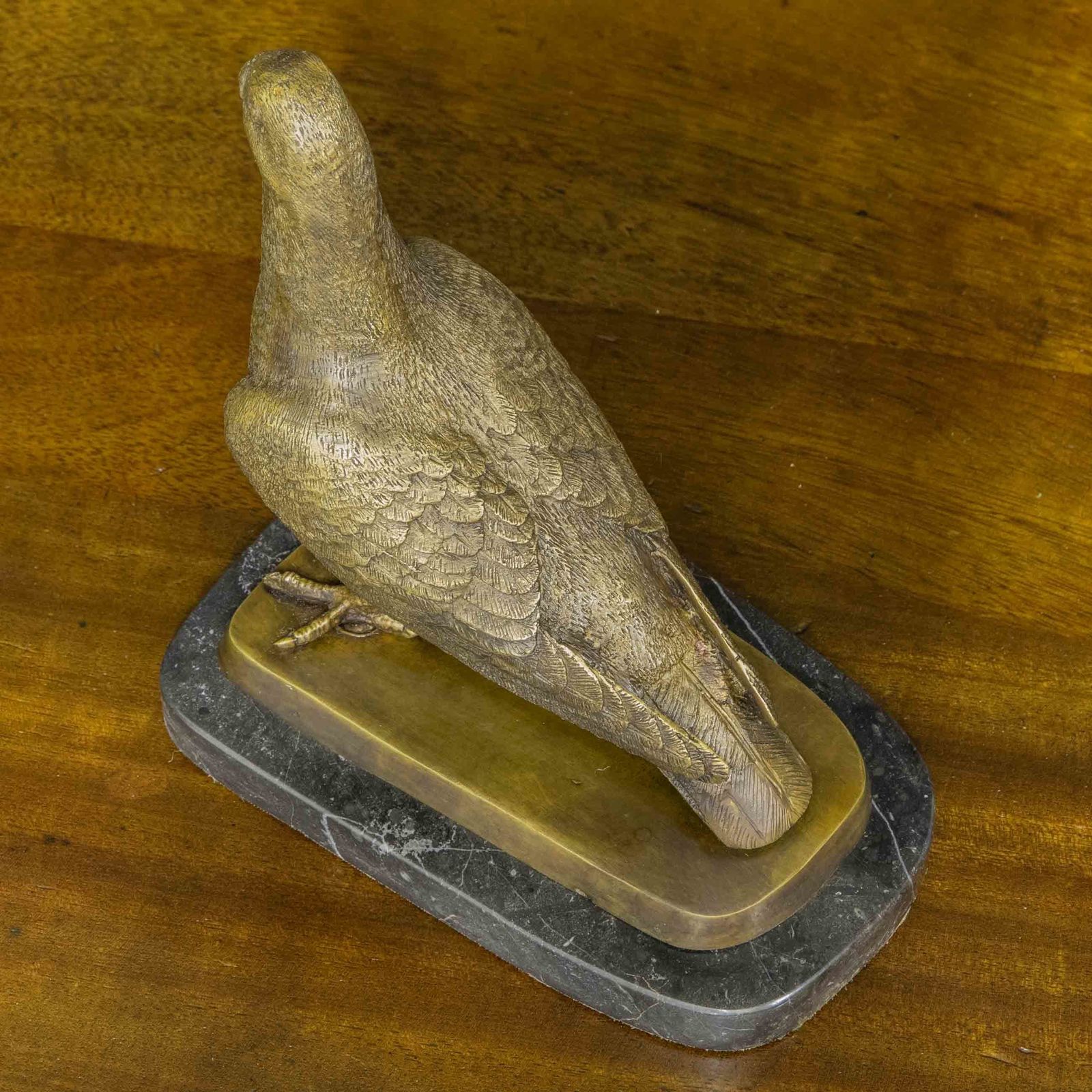 Bronze Racing Pigeon photo Home Decor