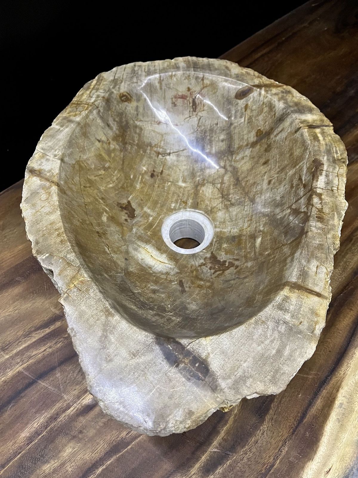 Petrified Wood Sink In Beige/ Brown/ Grey Tones  Organic Modern, Top Quality photo buy