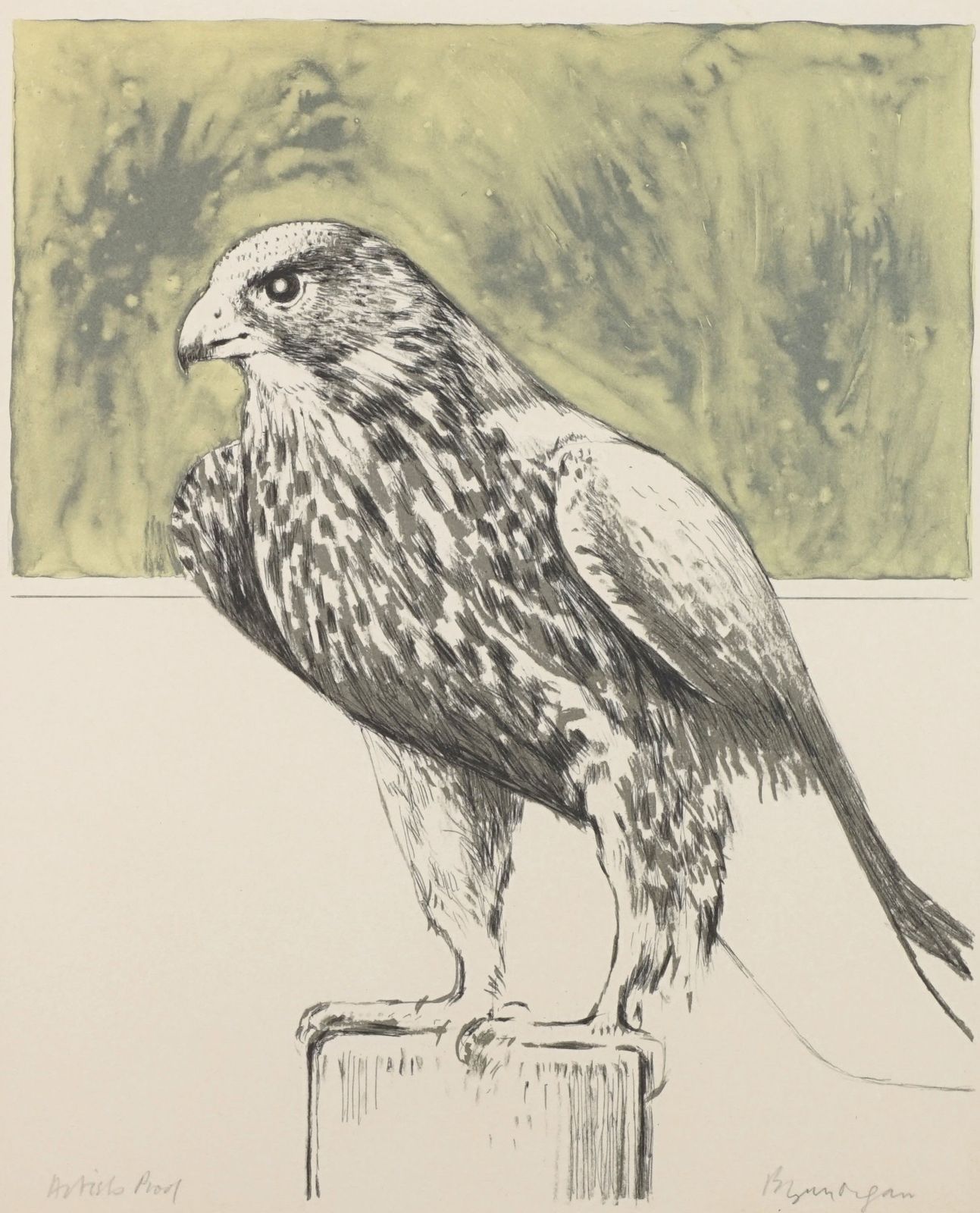 Bryan Organ, Pair Of Bird Lithographs, Peregrine Falcon And Eagle Owl photo for sale