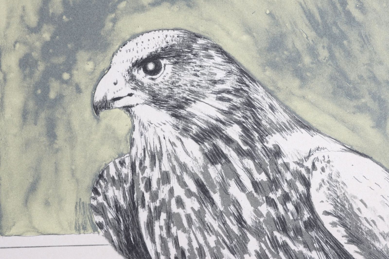 Bryan Organ, Pair Of Bird Lithographs, Peregrine Falcon And Eagle Owl photo buy