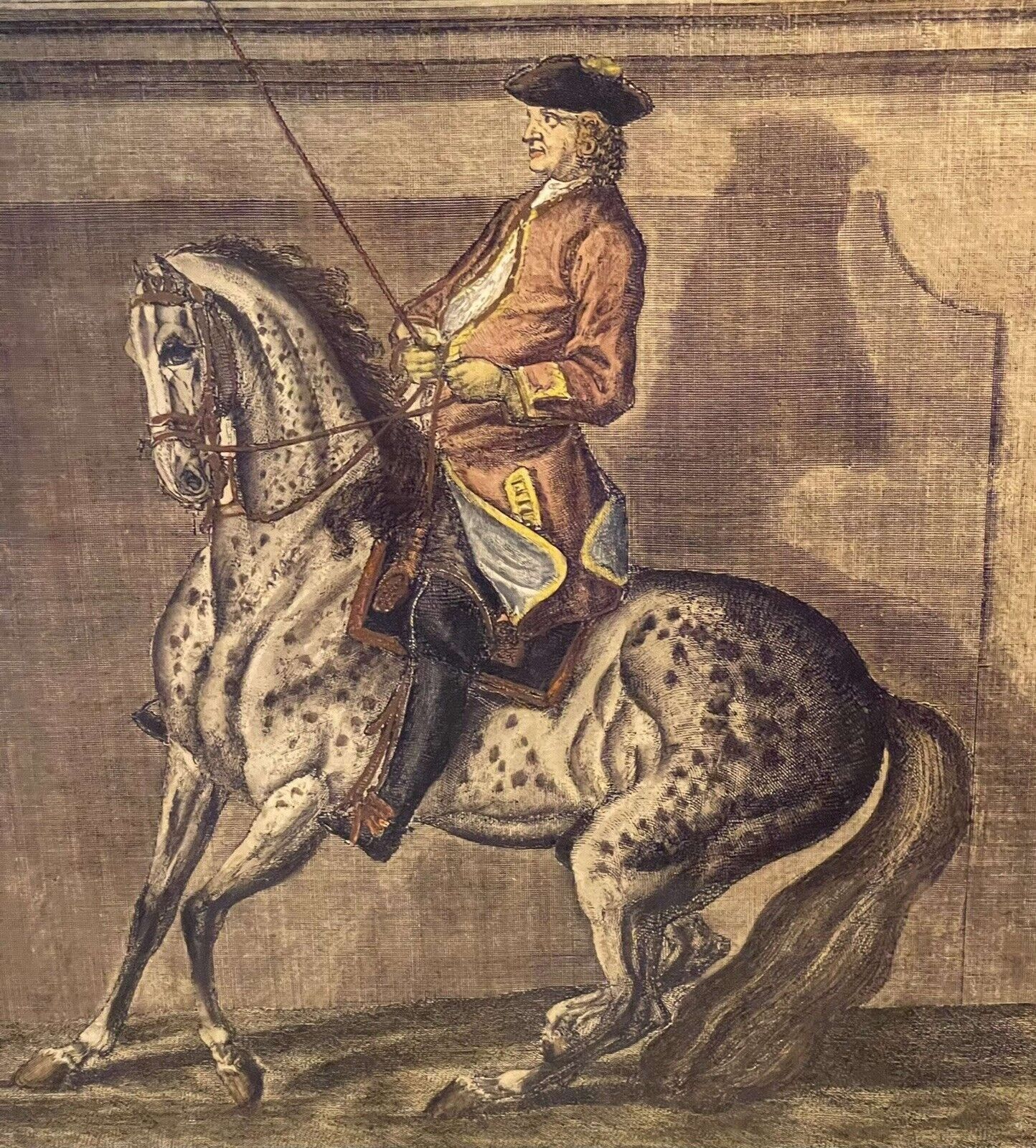 Johann Elias Ridinger (1698 1767) Hand Coloured Engraving 1734 photo vinterior