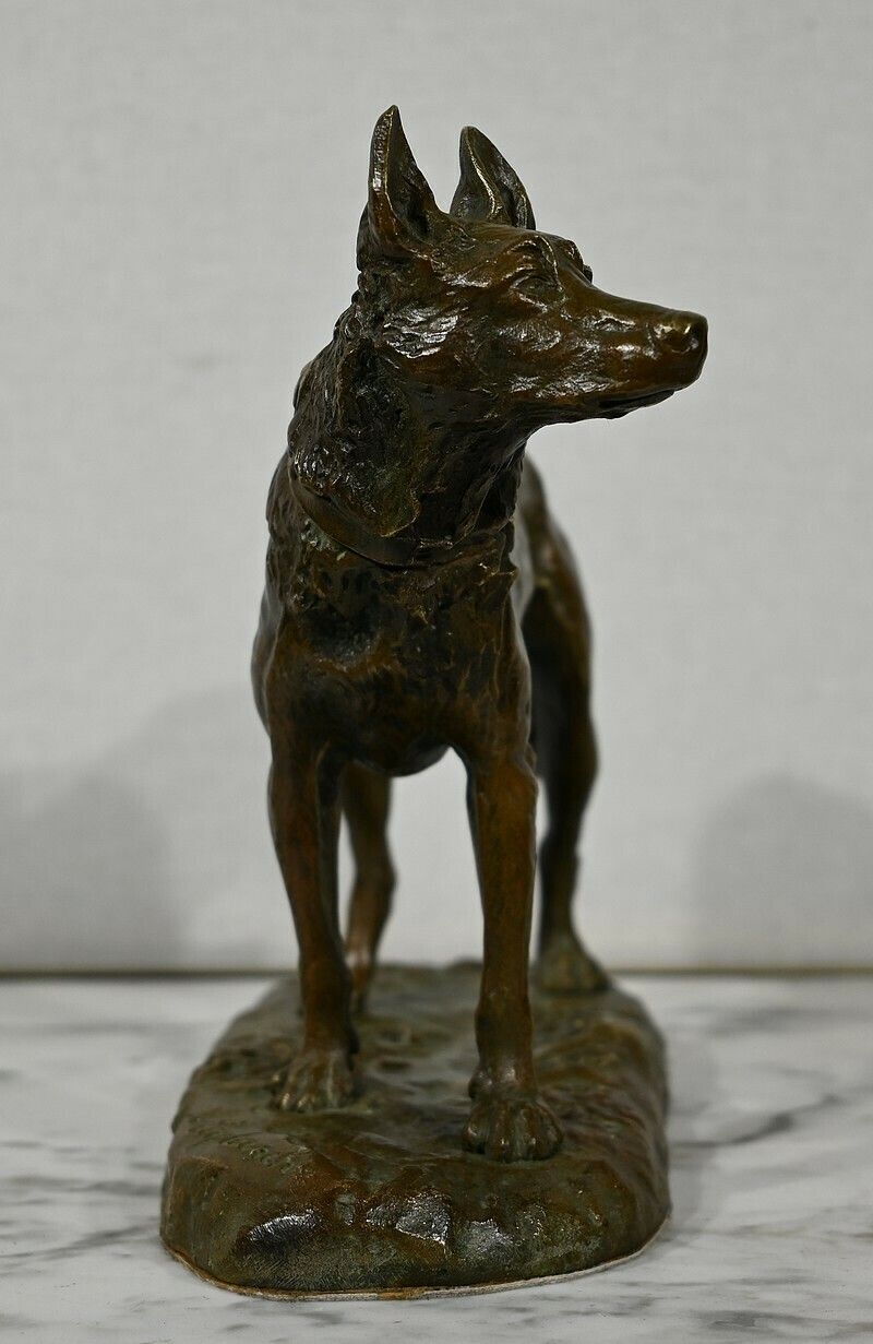 Bronze “The German Shepherd”, After Pa. Laplanche – Early 20th Century photo vinterior