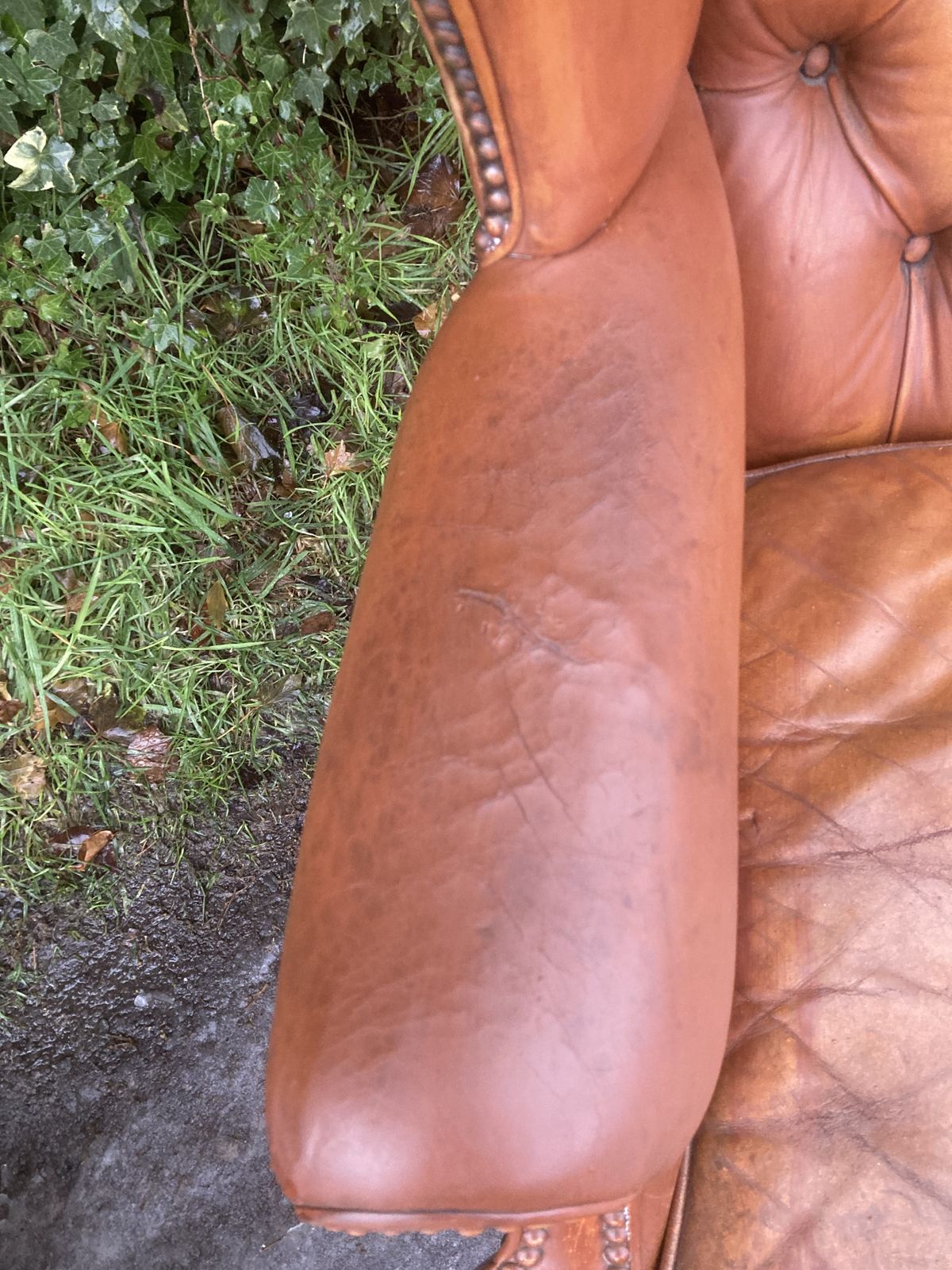 photo buy Leather Wing Back Chair