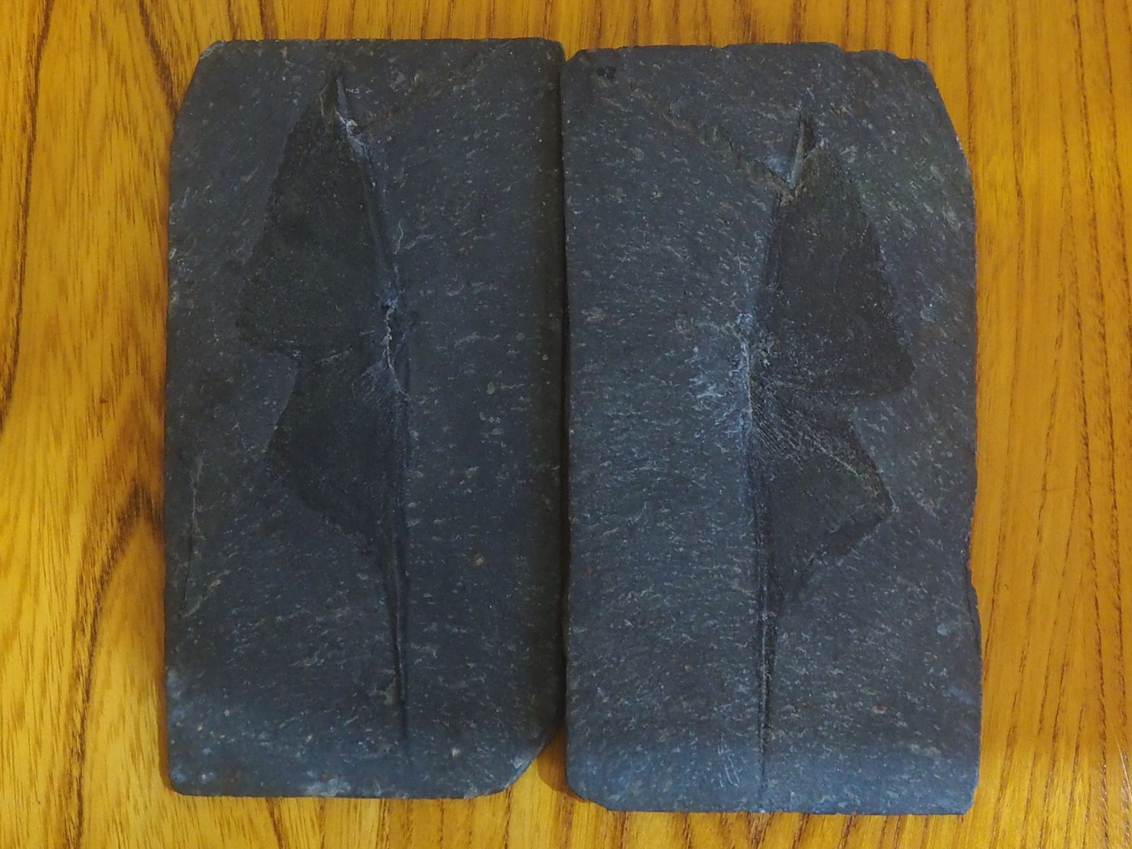 Fossil Delabole Butterfly, Stone