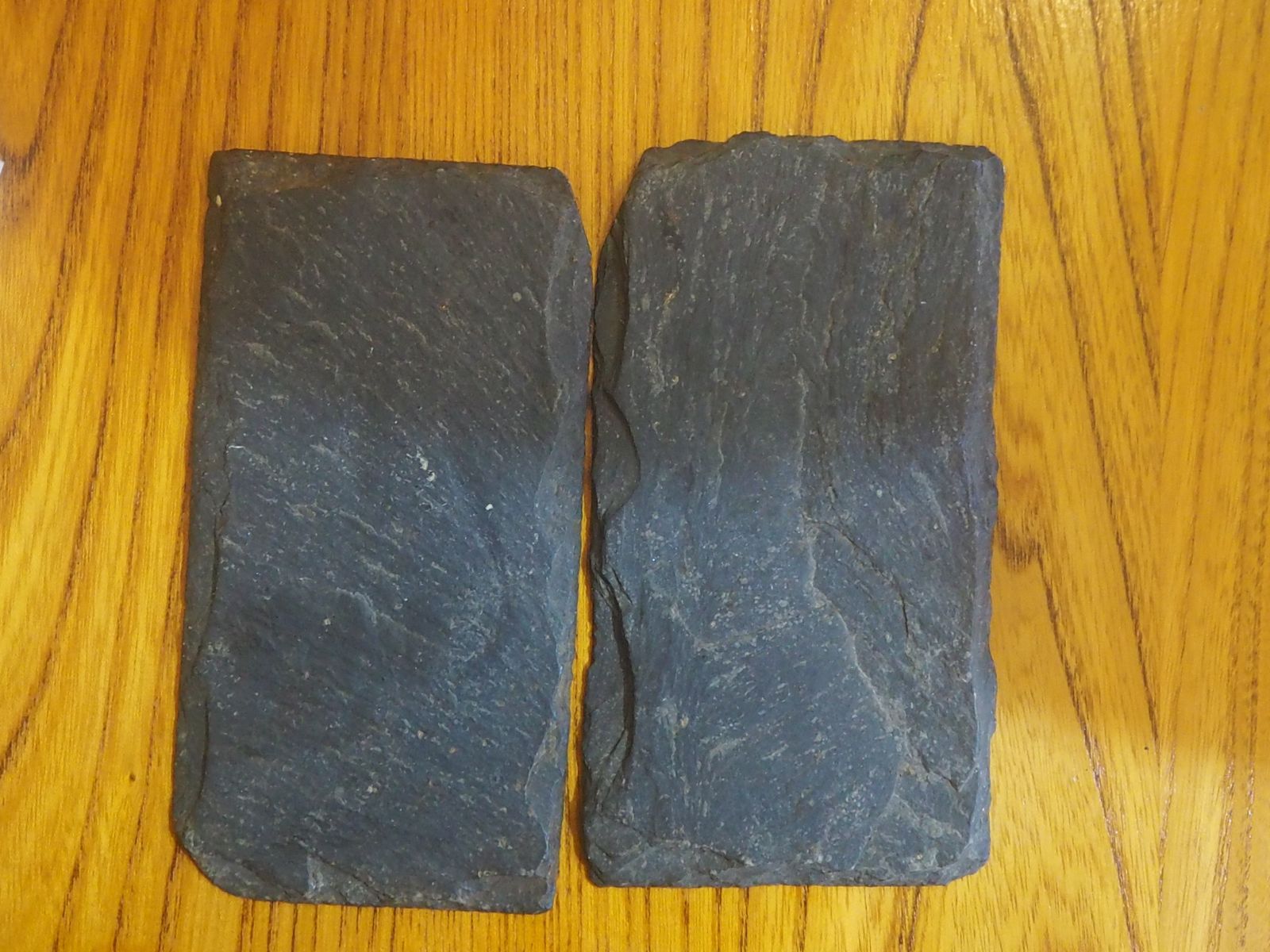 Fossil Delabole Butterfly, Stone photo 350.0