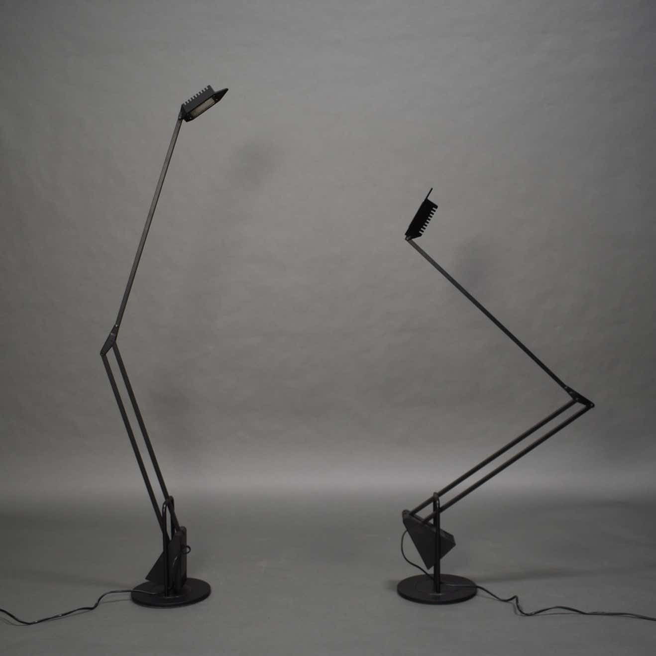 Pair Of 'Flamingo' Counterweight Table Lamps By Fridolin Naef For Luxo, Italy photo Lighting