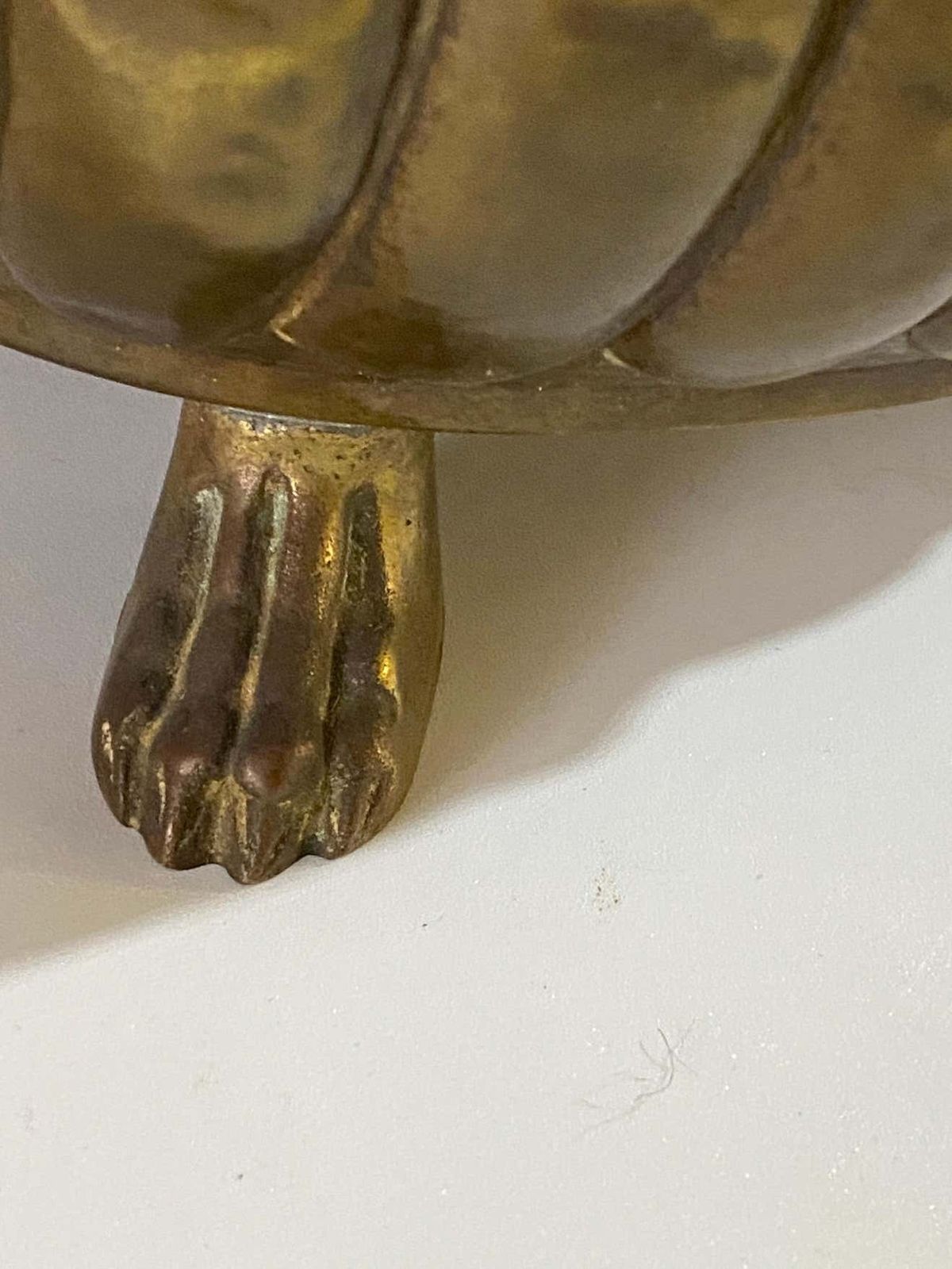 French Jardinière In Polished Brass With Handles In The Shape Of A Ring Of Lions, 19th Century photo buy