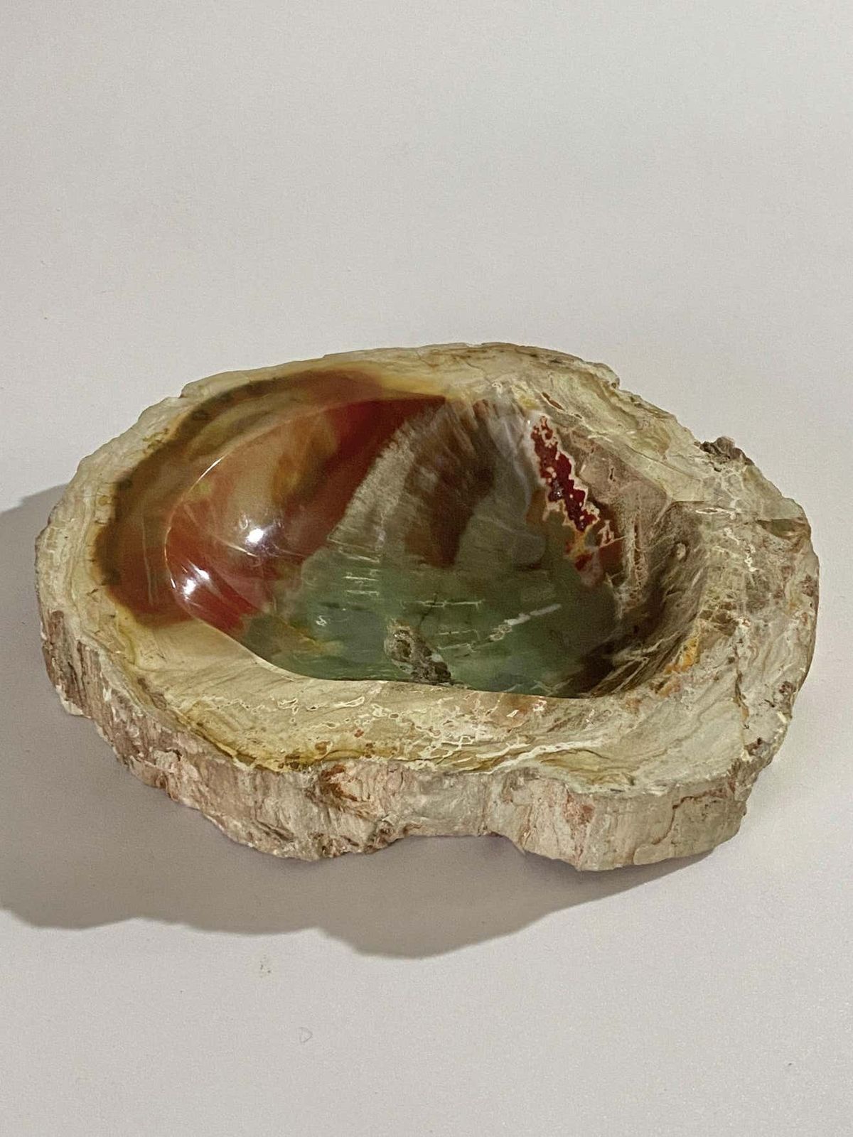 Petrified Wood Ashtray, 15th Century And Earlier, Organic Modern photo for sale