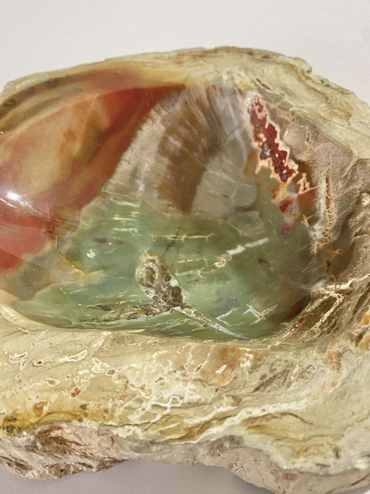 Petrified Wood Ashtray, 15th Century And Earlier, Organic Modern photo vintage