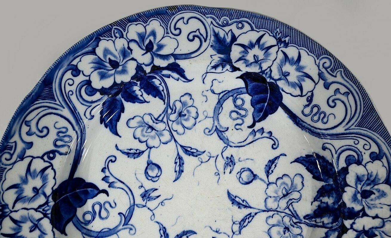 Large Earthenware Dish “Flora With Bindweeds”, Creil & Montereau, Art Nouveau – Late 19th Century photo for sale