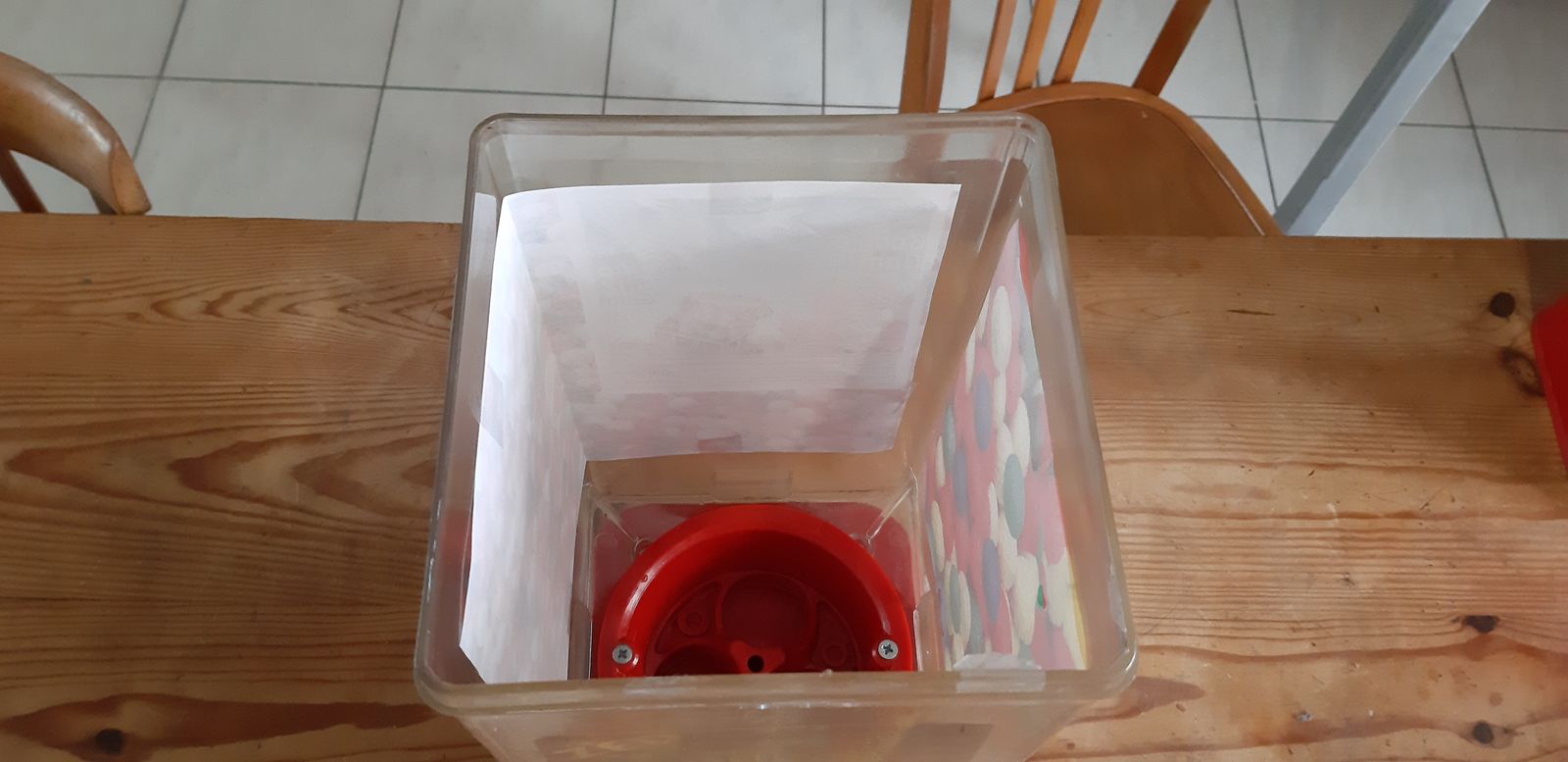 photo for sale Brabo Candy Or Peanut Dispenser,