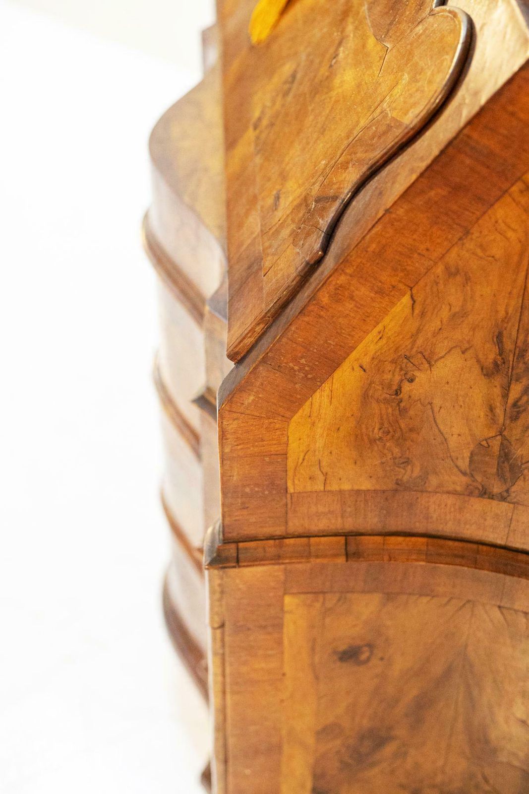 Louis XV Style Walnut Root Cabinet 19th Century photo buy
