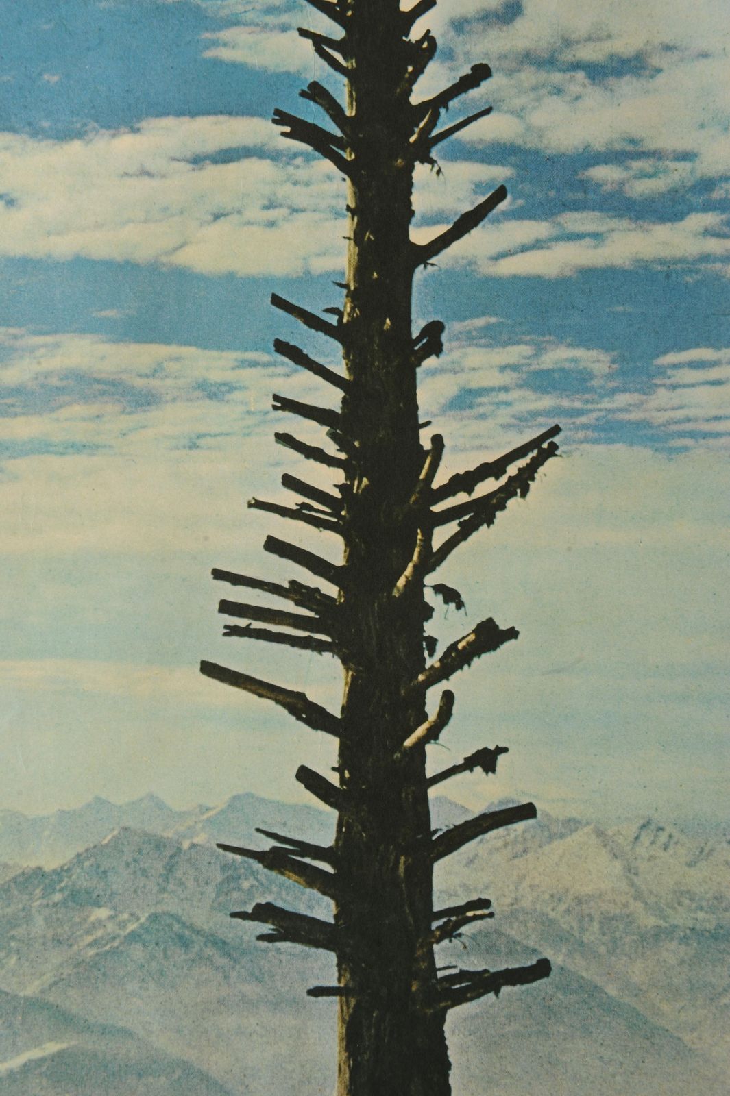 Swiss National Tourist Office Ticino : View Of The Valais Alps From Cardada Above Locarno Lithograph Poster 1960 Ol photo furniture