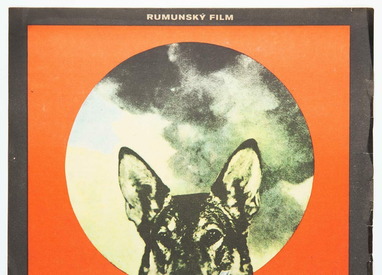 Movie Poster, Silent Friends, Václav Zeman, 1970 photo furniture