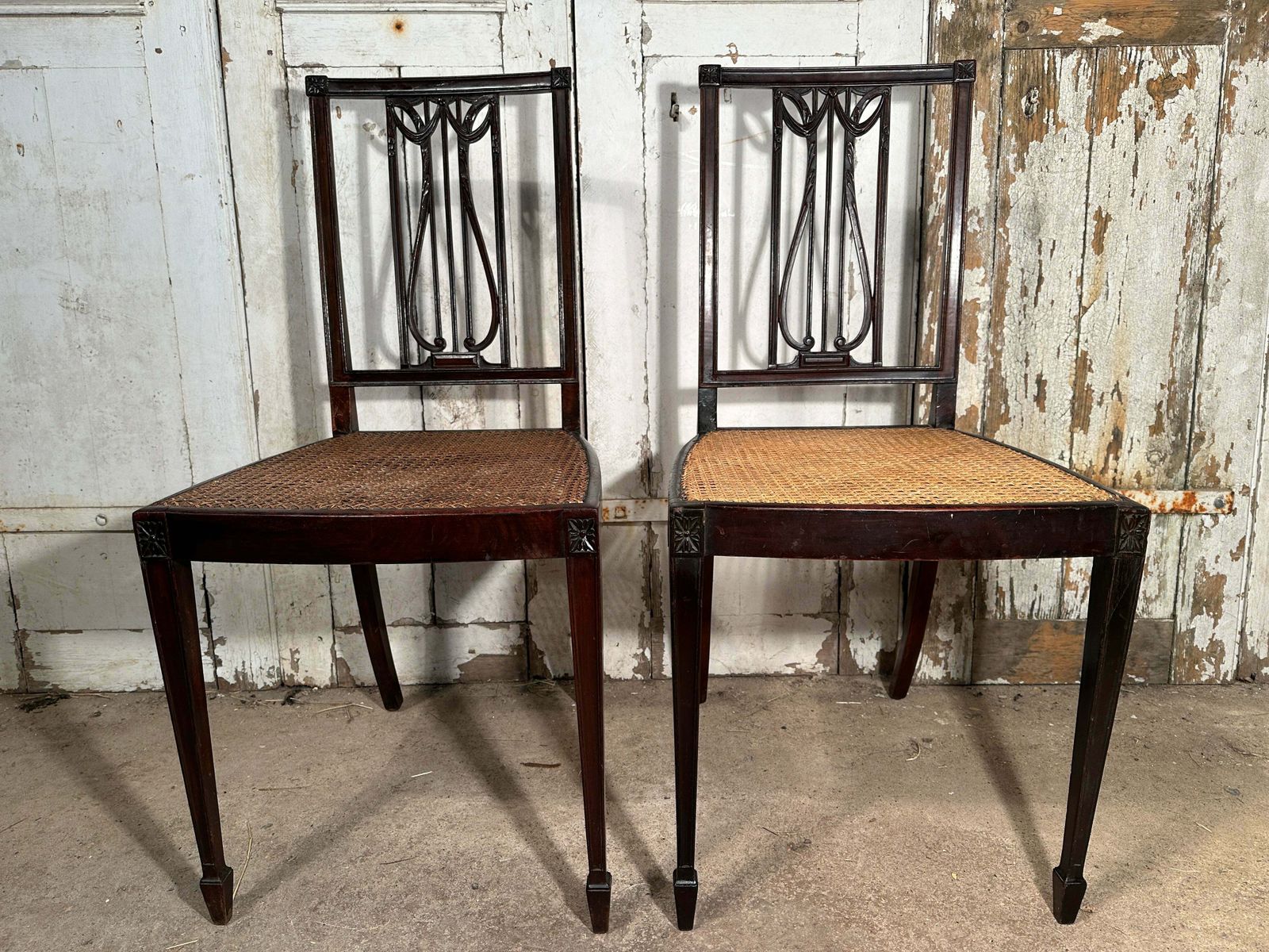 Rare Pair Of Original Federal Samuel Mcintire Sheraton Cuban Mahogany Cane Chairs Circa 1790 photo Furniture