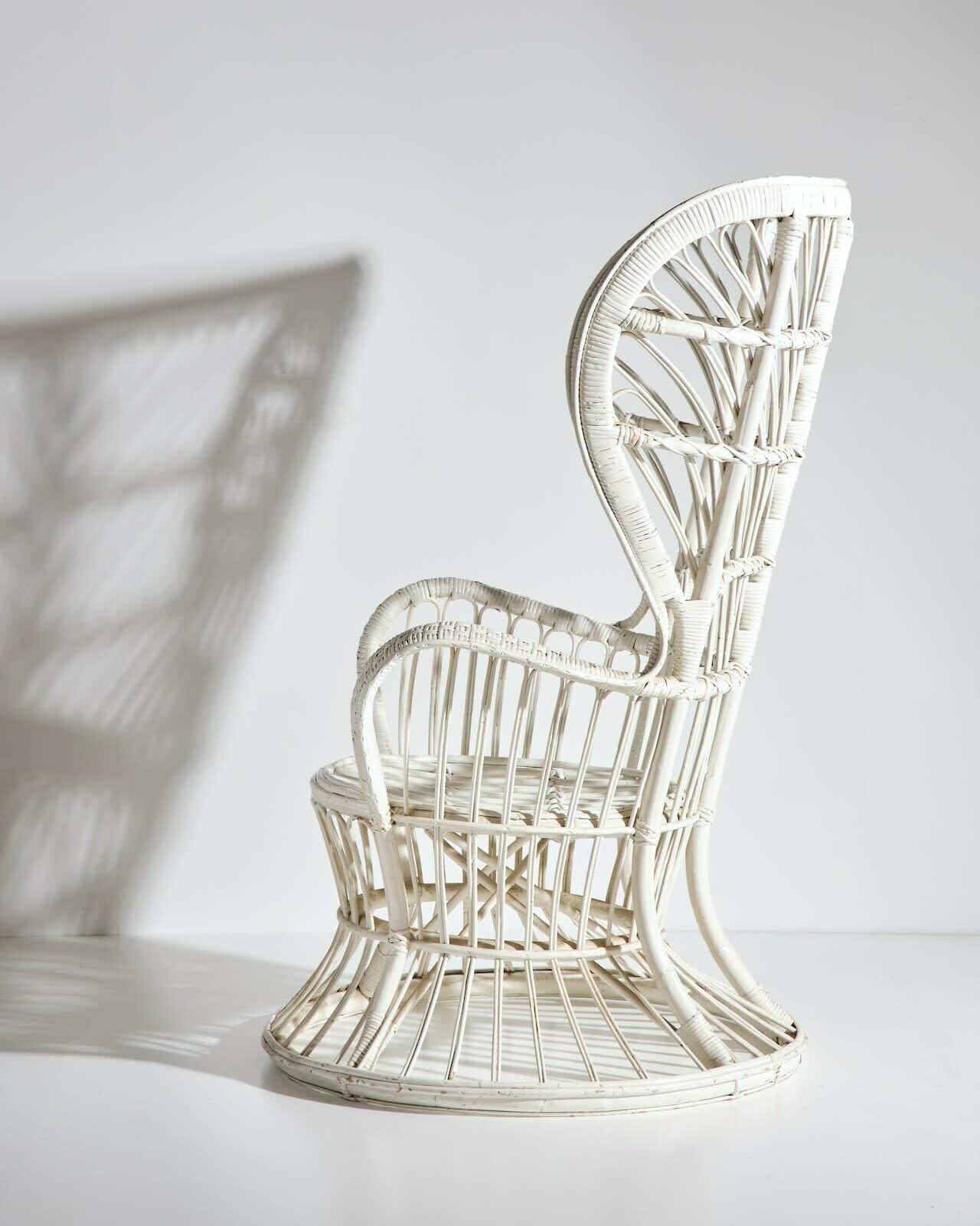 Lio Carminati Peacock Armchair photo for sale