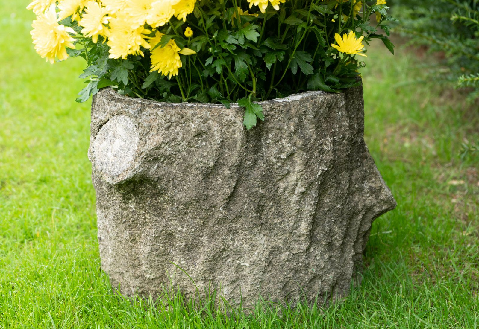 Pair Circular Faux Bois Planters photo for sale