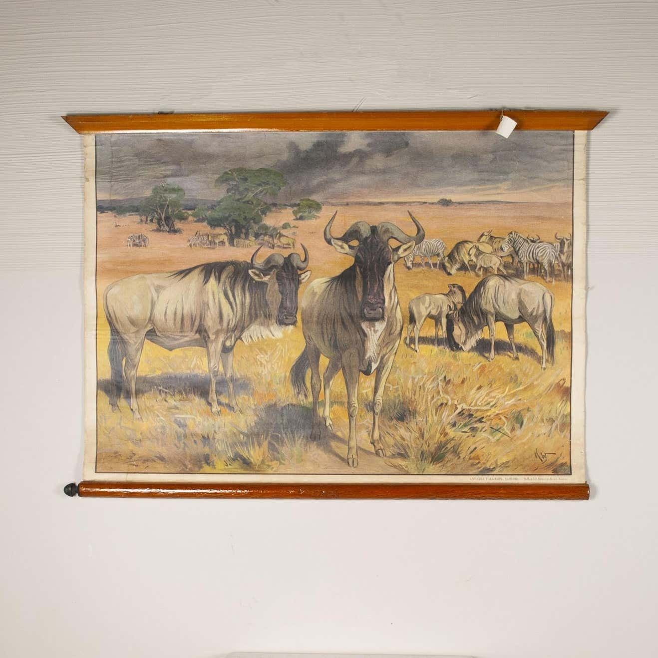 Antonio Vallardi Muflon Linen Canvas Print photo vinterior
