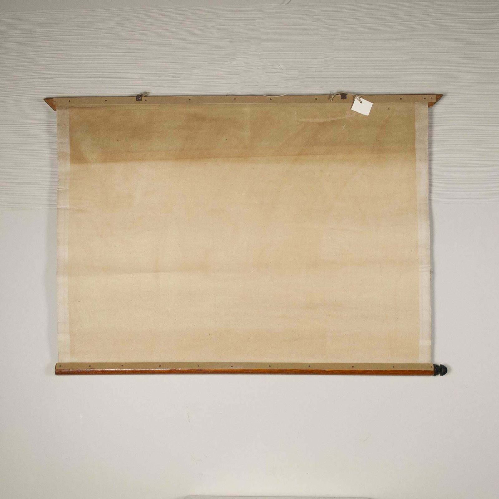 Antonio Vallardi Snake Linen Canvas Print photo vinterior