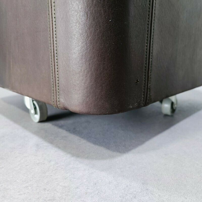 De Sede Leather Planter Ds47 Series photo for sale
