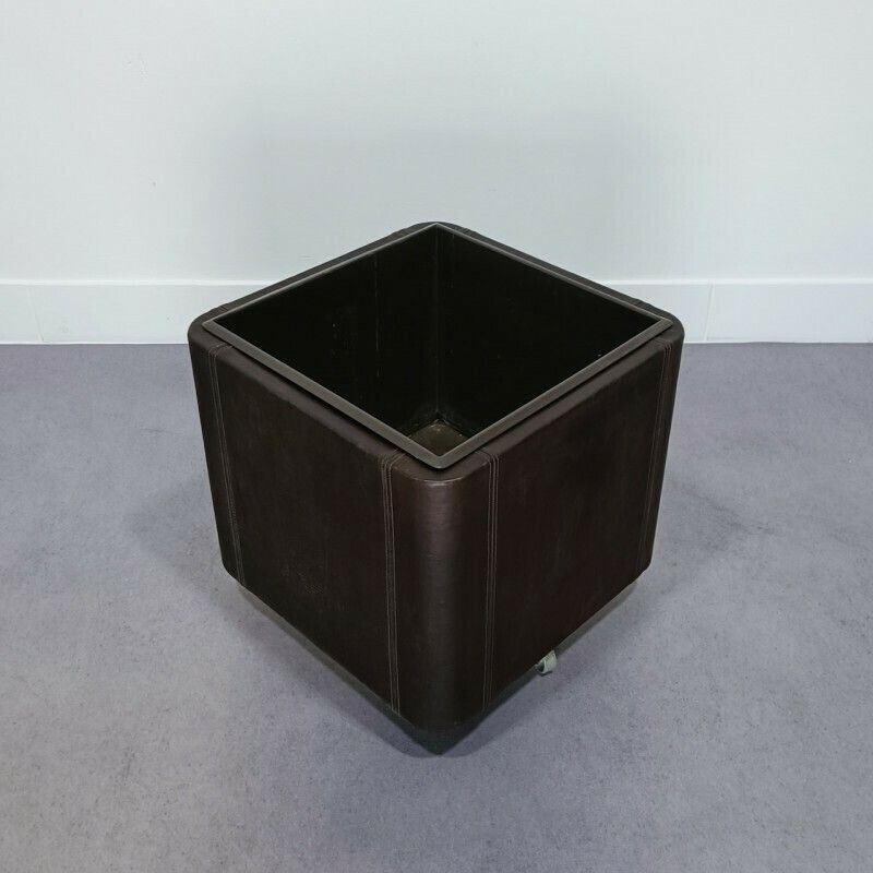 De Sede Leather Planter Ds47 Series photo Woonaccessoires