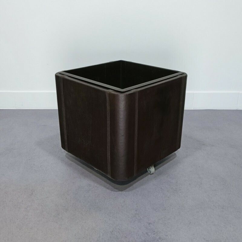 De Sede Leather Planter Ds47 Series photo vinterior