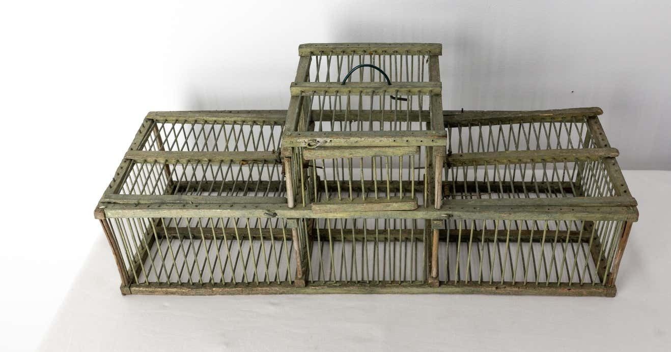 French Country Antique Beech & Iron Bird Cage, Circa 1900 photo for sale