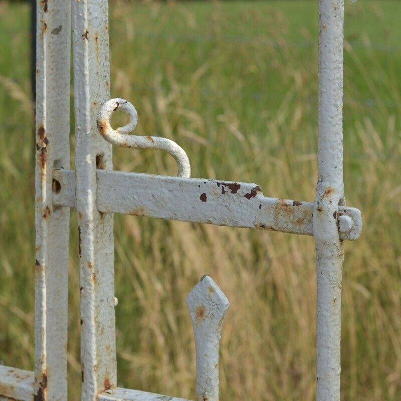 Antique Iron Driveway Gates, 1800s photo vinterior