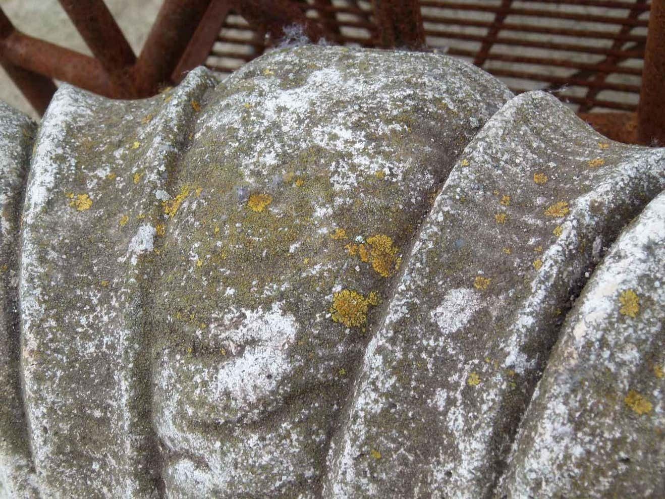 photo vinterior Mid 20th Century Reconstituted Stone Urn In Classical Greek Style