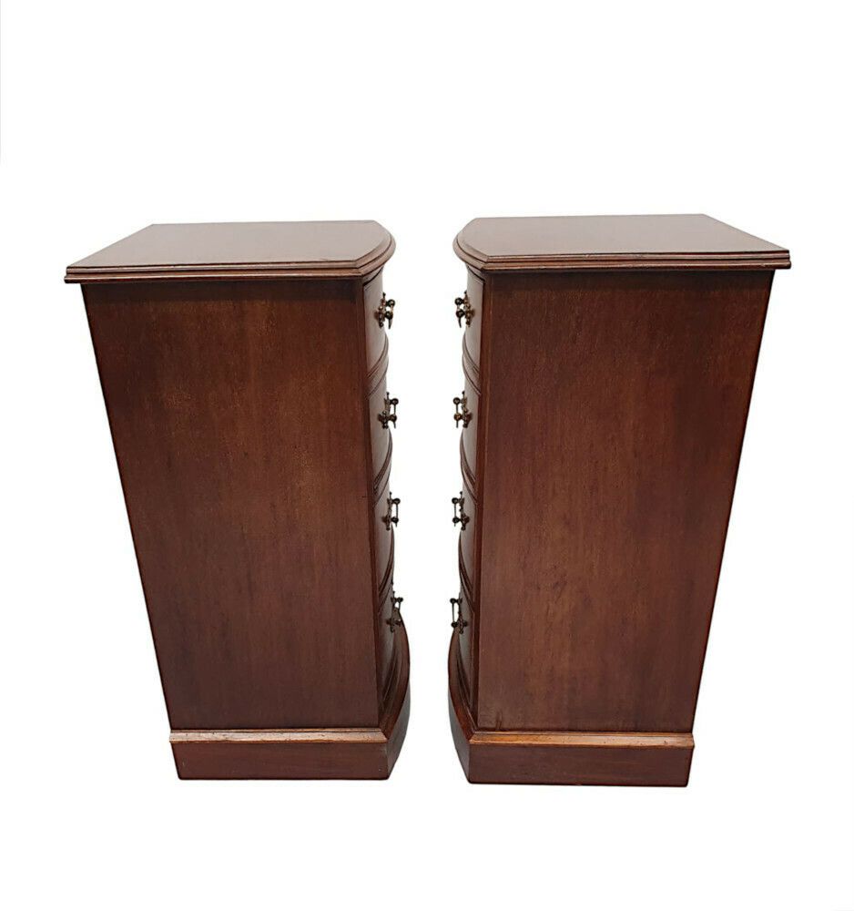 A Very Fine Pair Of Large 19th Century Bow Fronted Bedside Chests photo 1998.2018