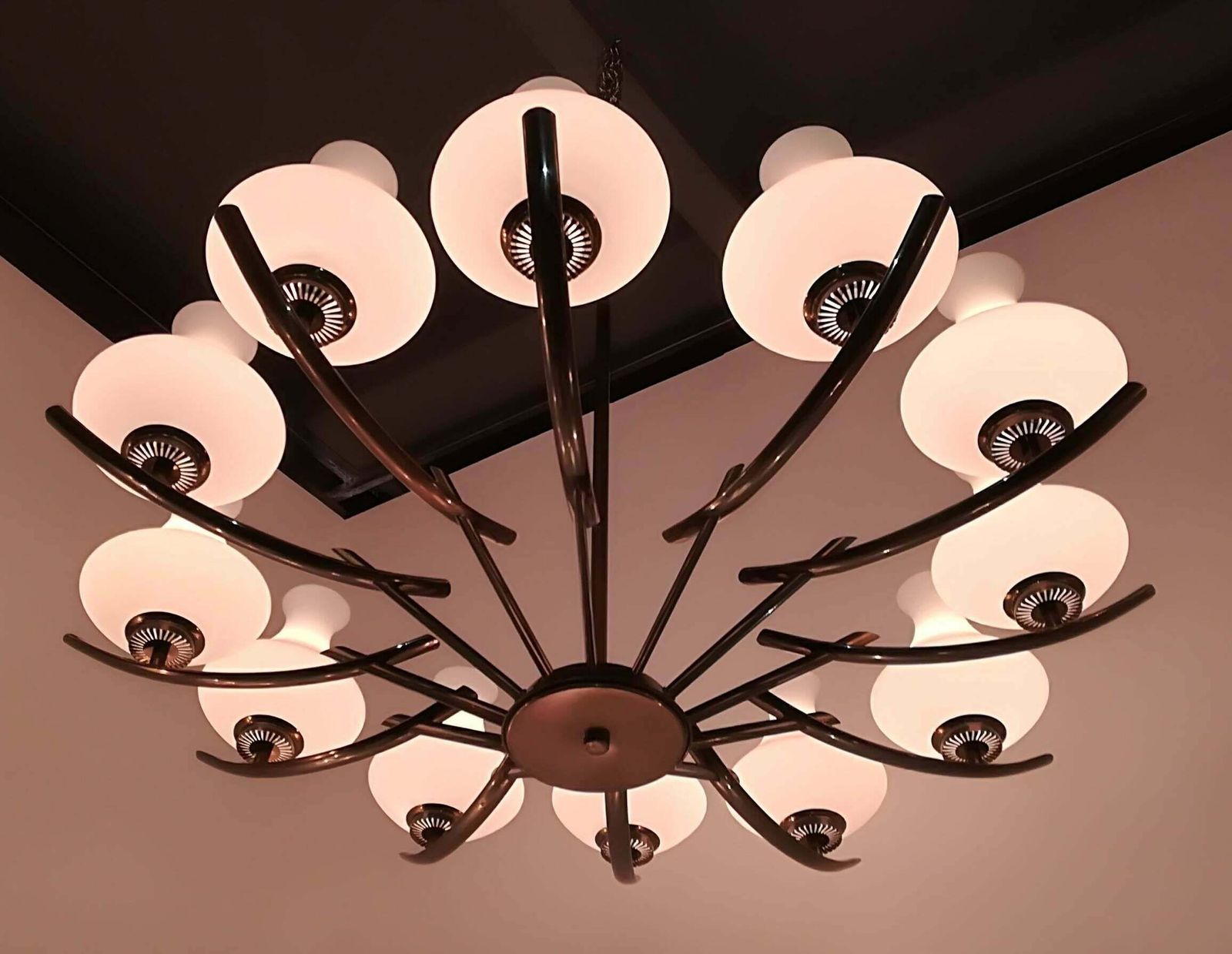 Arredoluce 12 Lights Brass And Glass Italian Chandelier, 1940 photo furniture