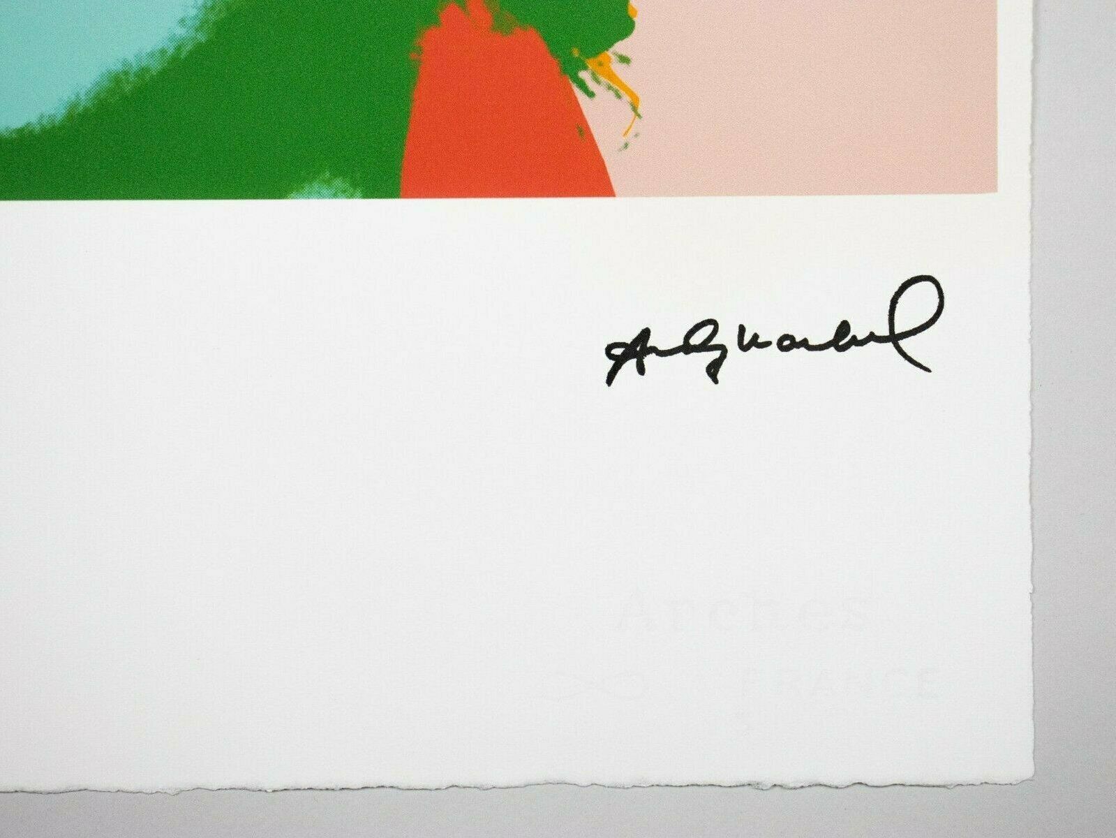 Andy Warhol – Diamond Dust Summer Heat photo 720.0