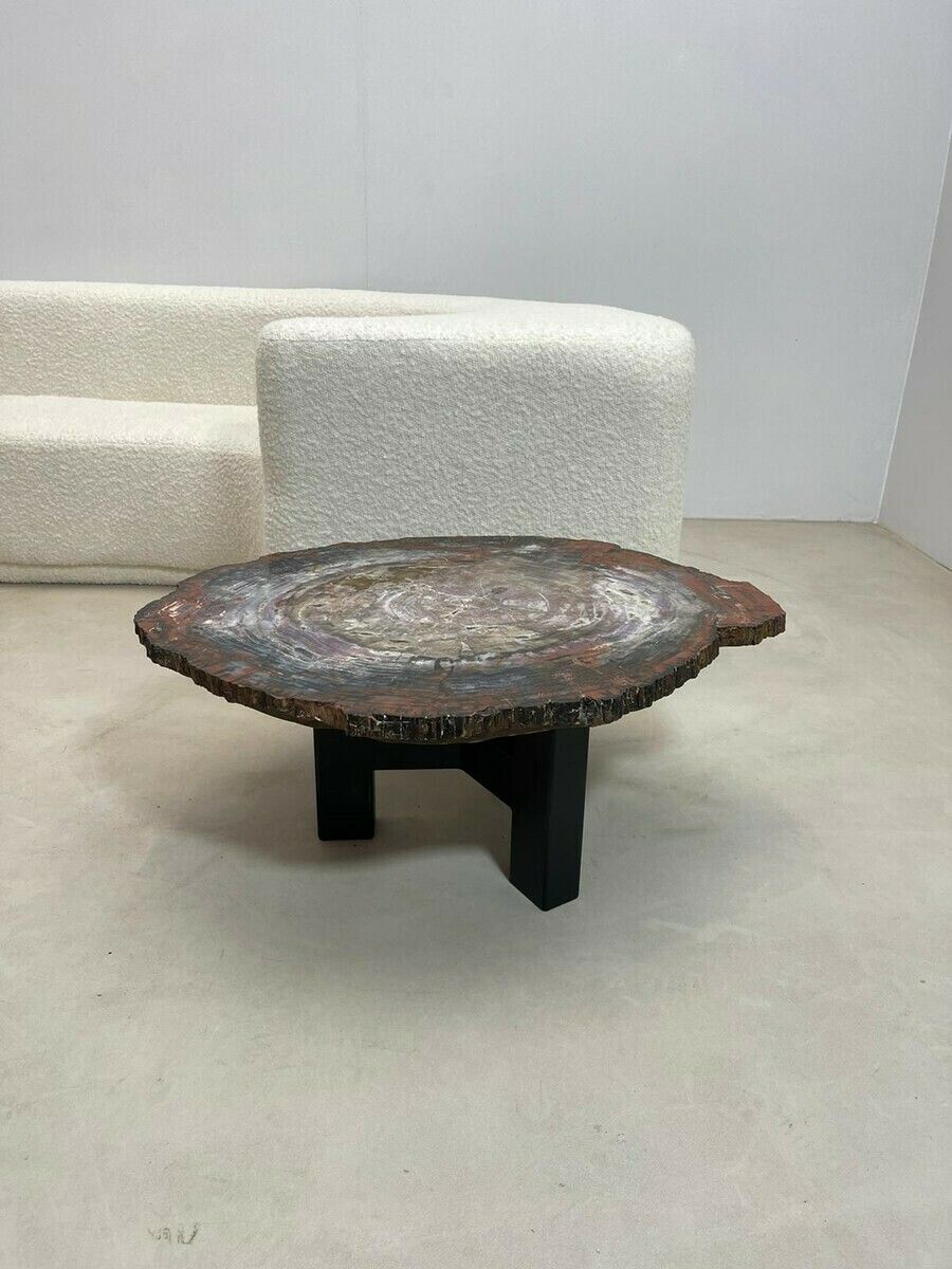 Mid Century Modern Petrified Wood Coffee Table photo furniture