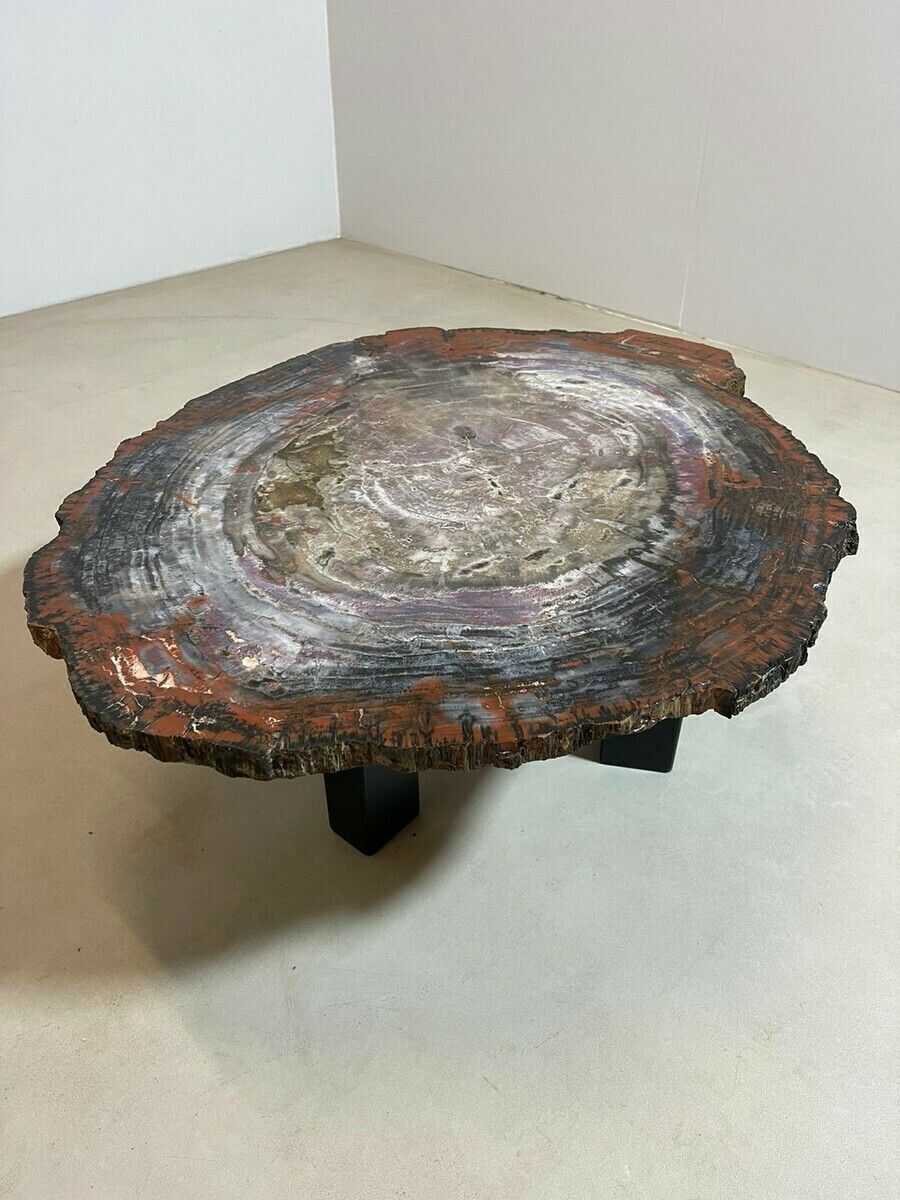 Mid Century Modern Petrified Wood Coffee Table photo vinterior