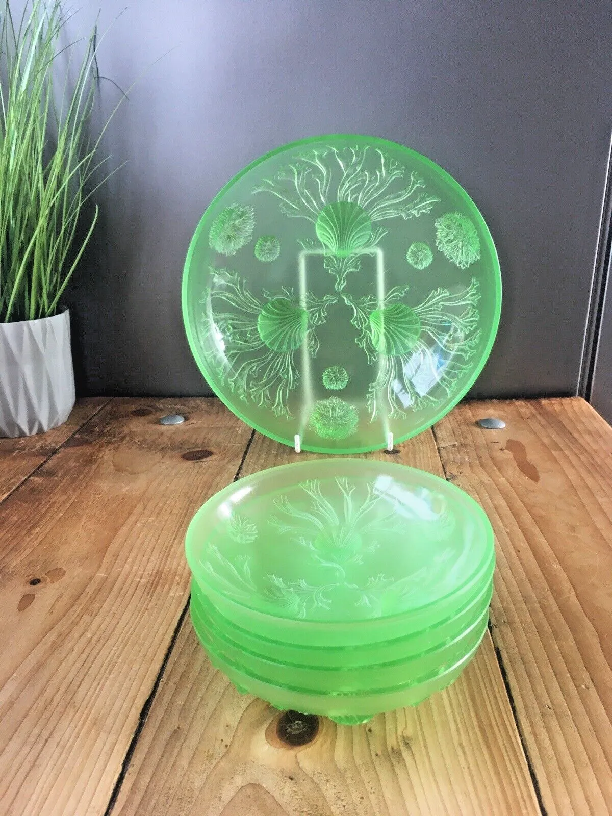 Art Deco Uranium Glass Dessert Bowl Set Seaweed Seashell Verlys Walther & Sohne photo vintage